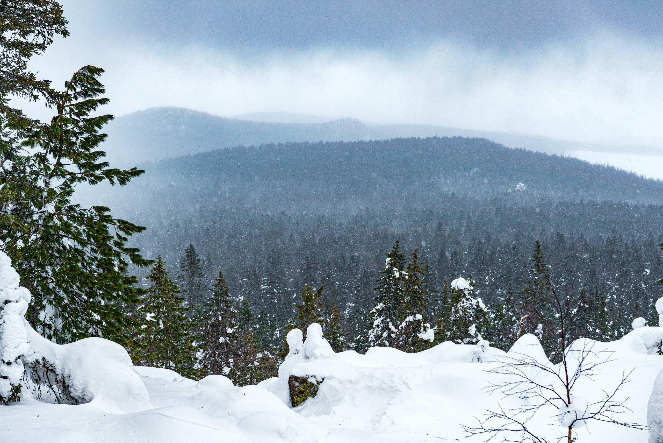 Качканар 07.03.2020. Свадебный фотограф на Урале Виктор Соколов