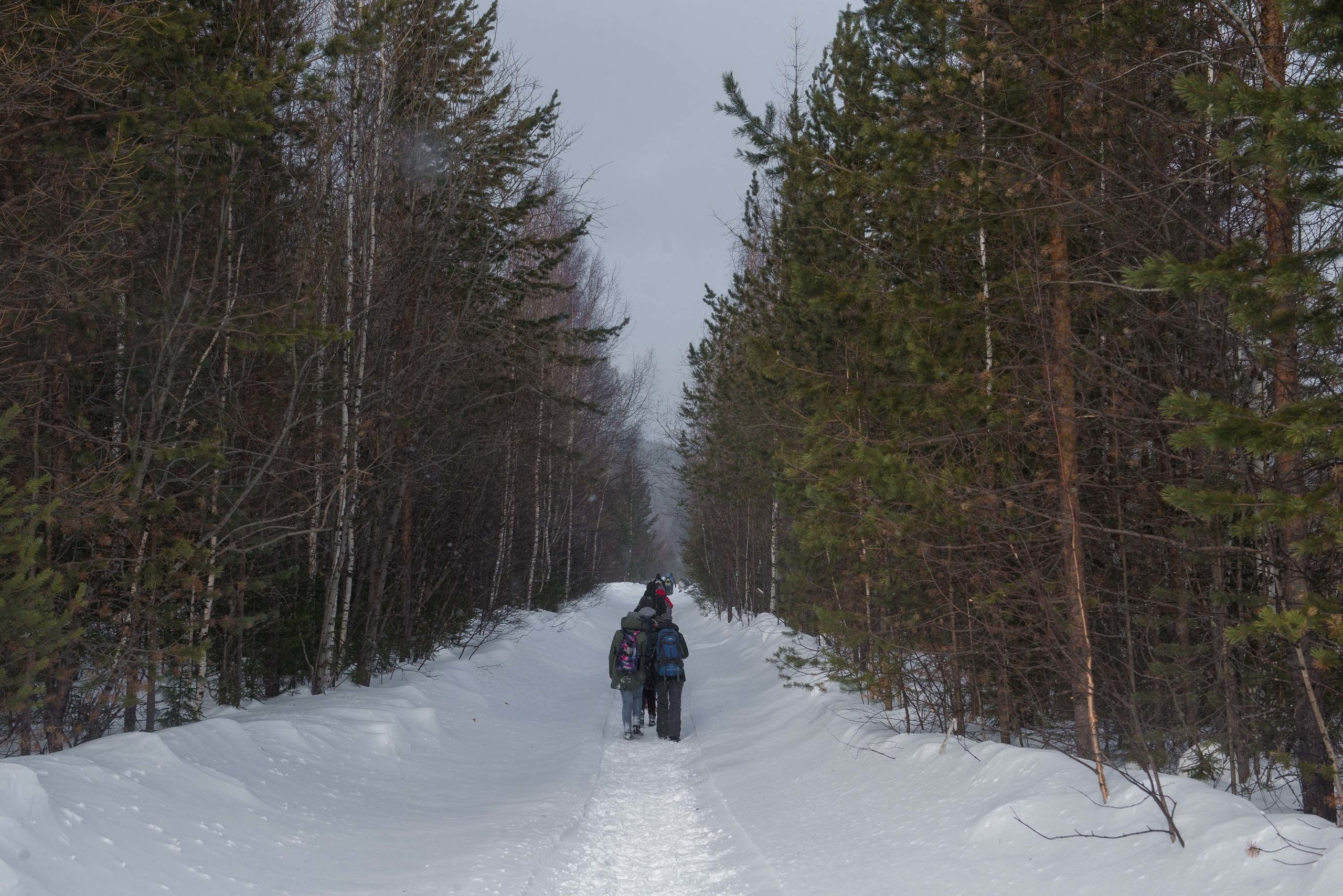 Качканар 09.03.2019. Свадебный фотограф на Урале Виктор Соколов