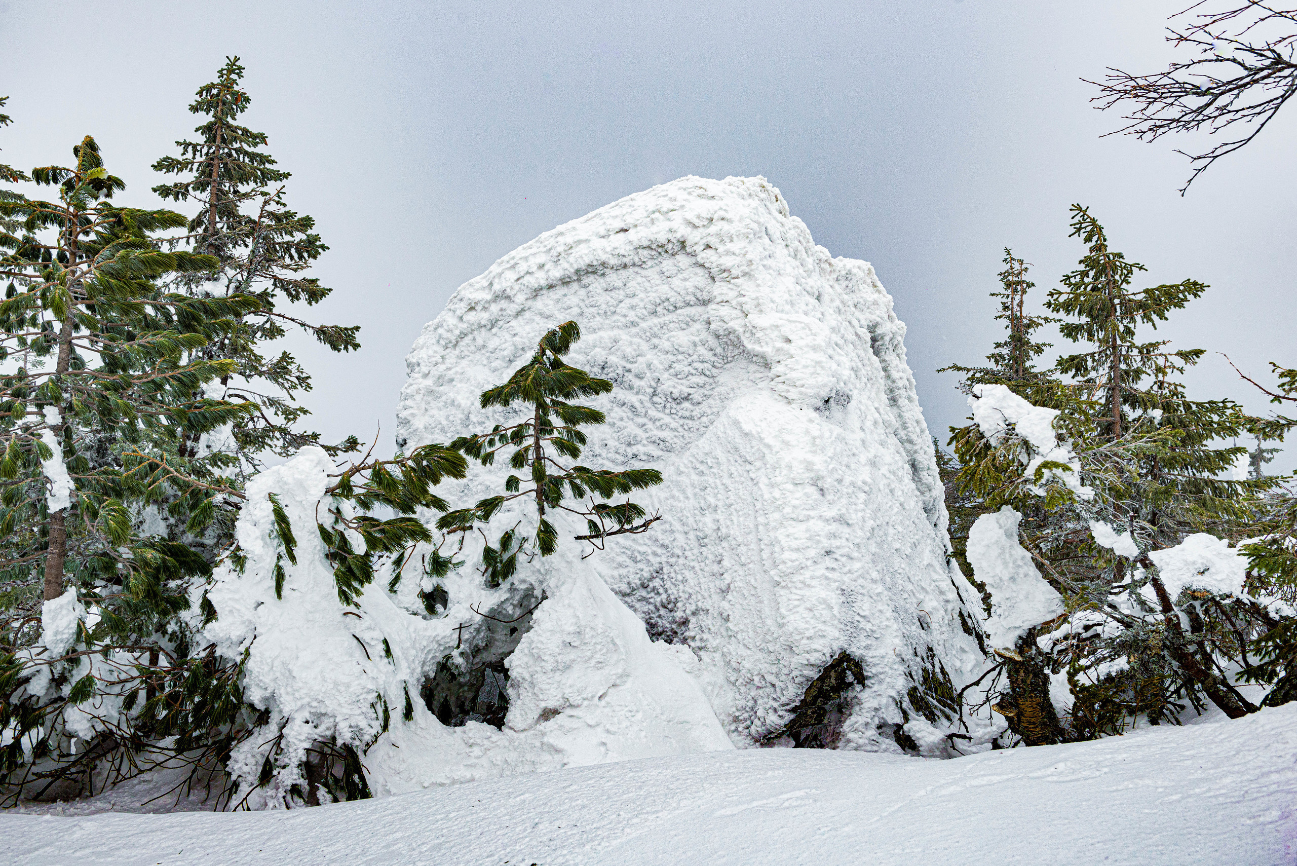 Качканар 07.03.2020. Свадебный фотограф на Урале Виктор Соколов