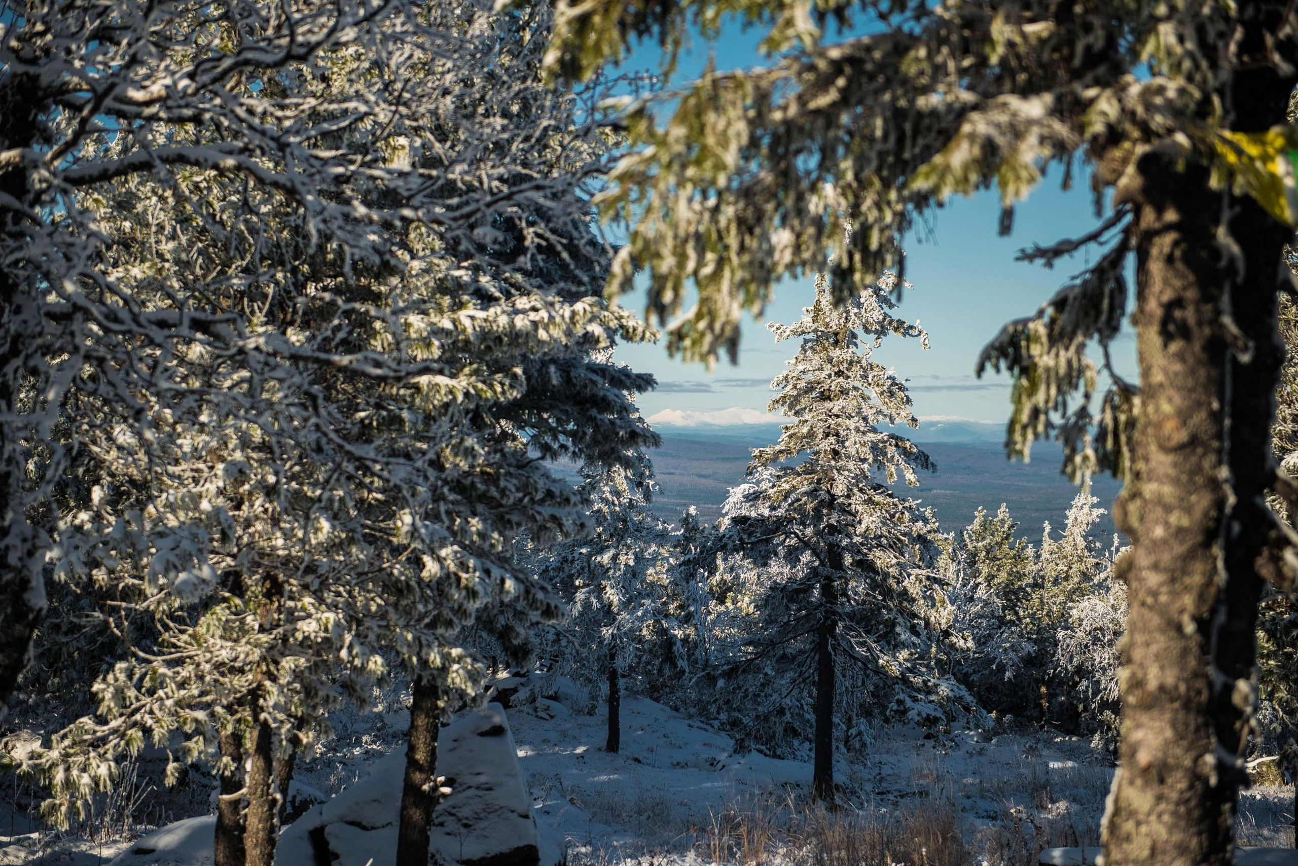 Качканар 19.10.2019. Свадебный фотограф на Урале Виктор Соколов