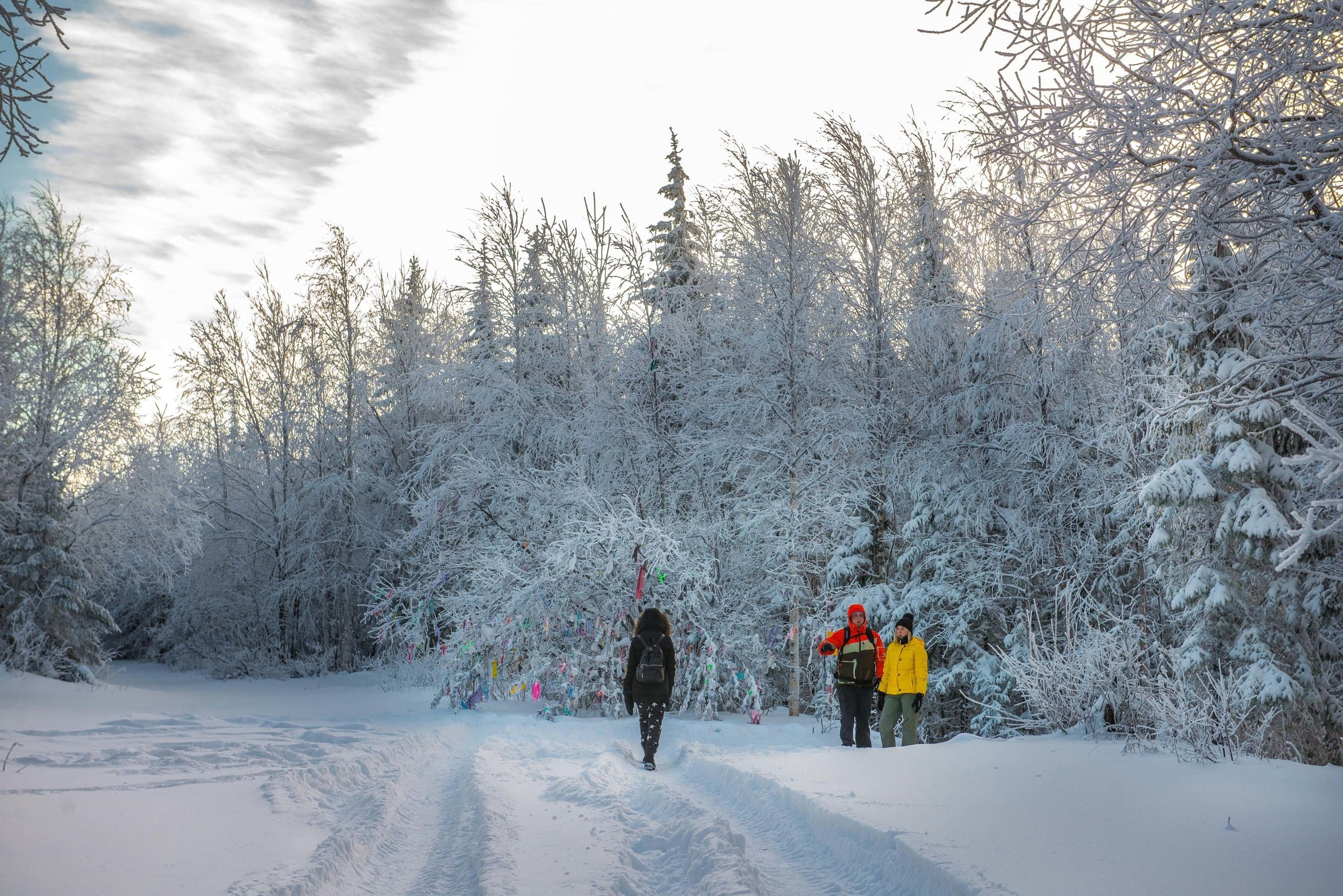 Качканар 24.11.2018. Свадебный фотограф на Урале Виктор Соколов