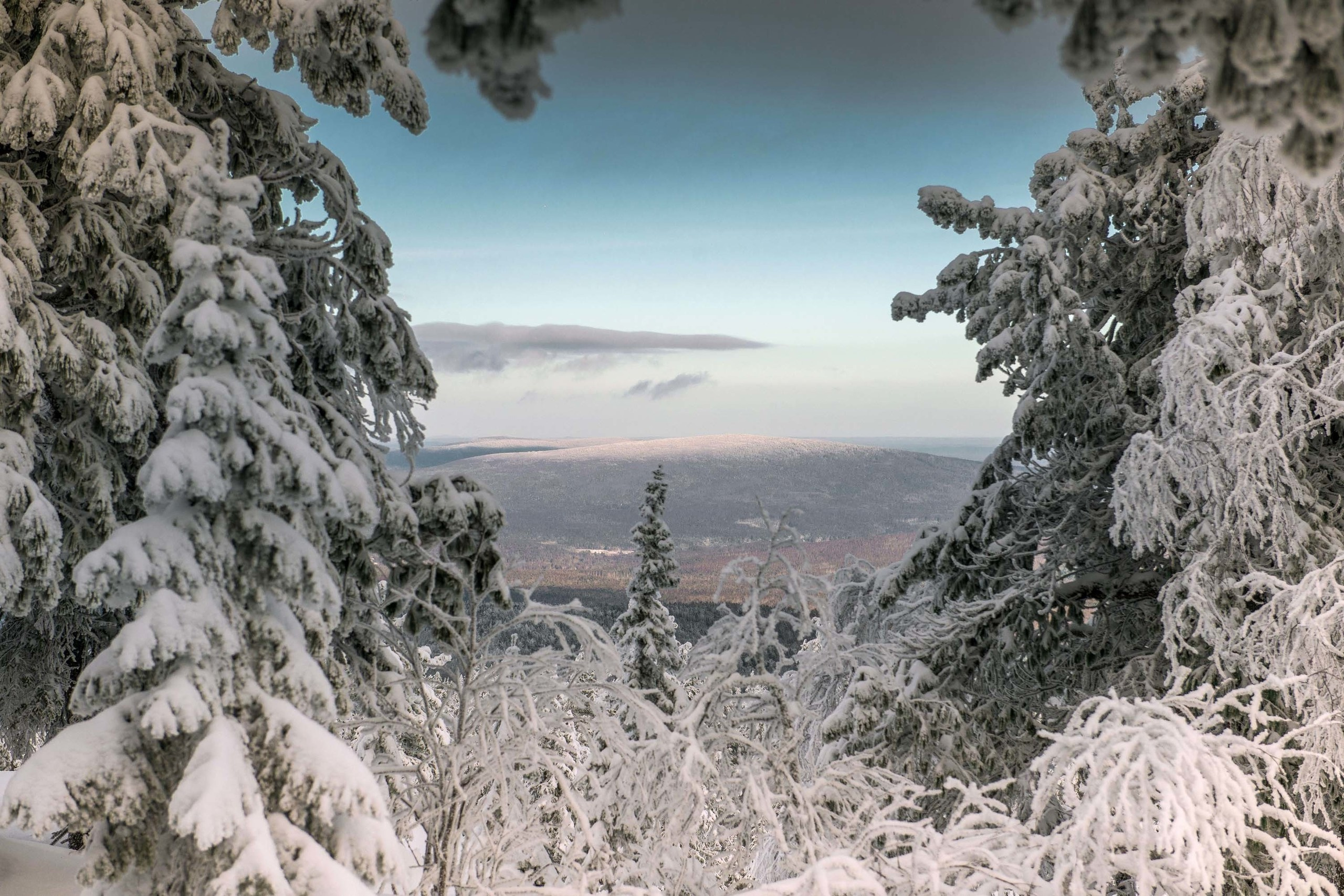 Качканар 24.11.2018. Свадебный фотограф на Урале Виктор Соколов