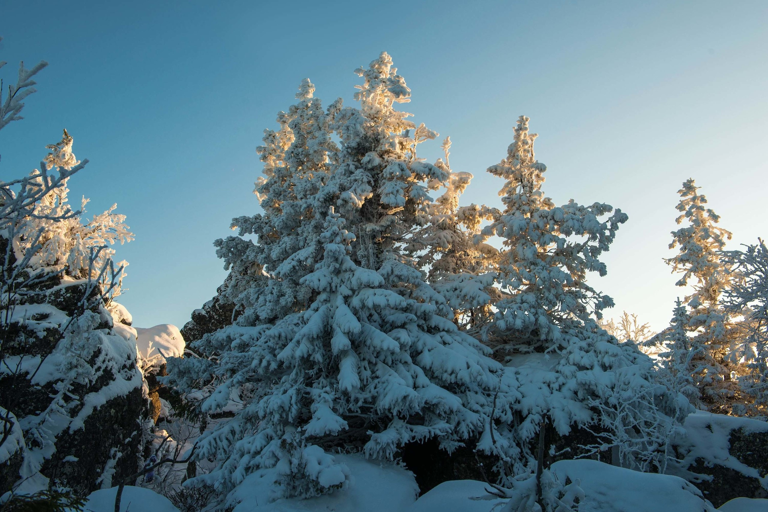 Качканар 19.10.2019. Свадебный фотограф на Урале Виктор Соколов