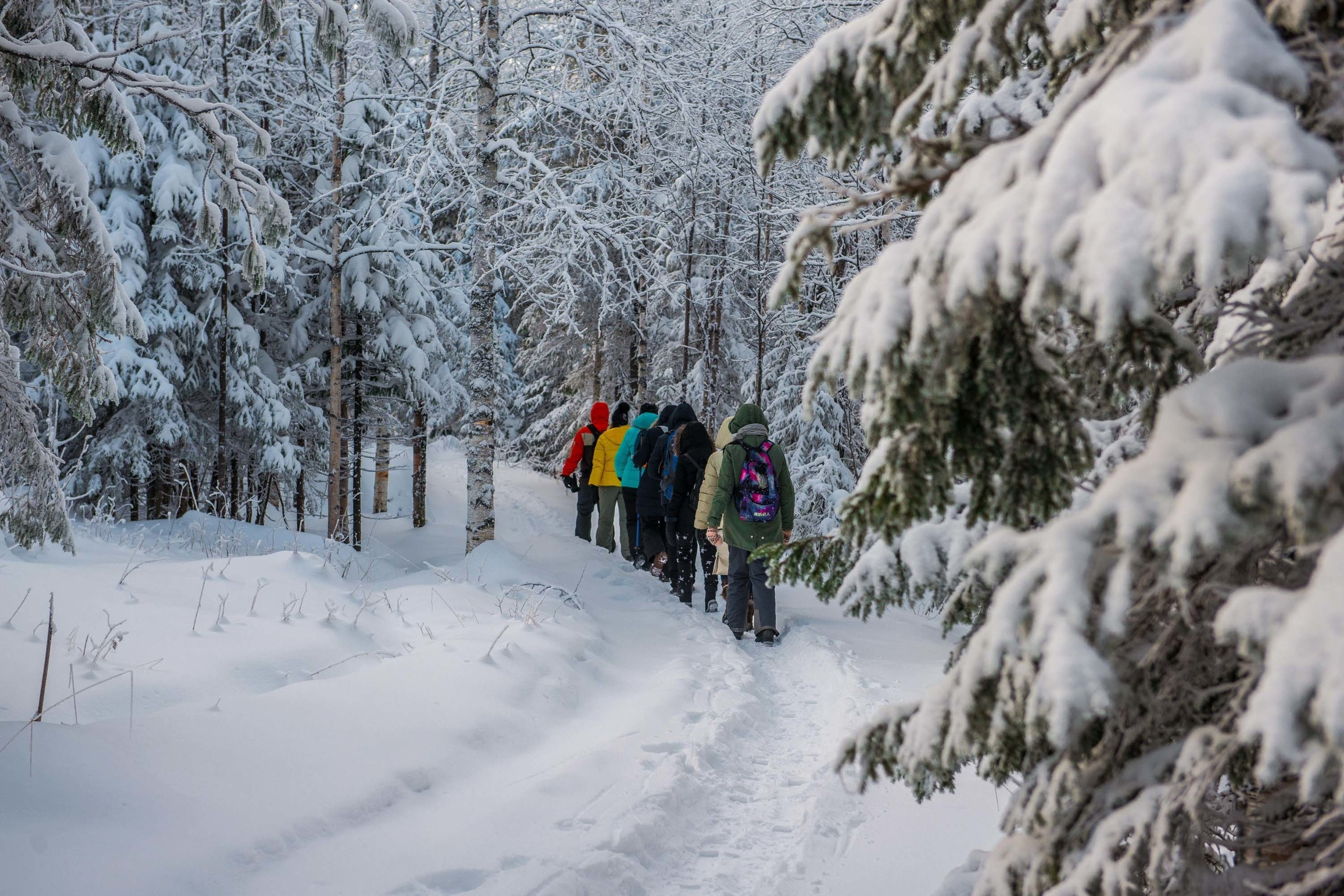 Качканар 24.11.2018. Свадебный фотограф на Урале Виктор Соколов
