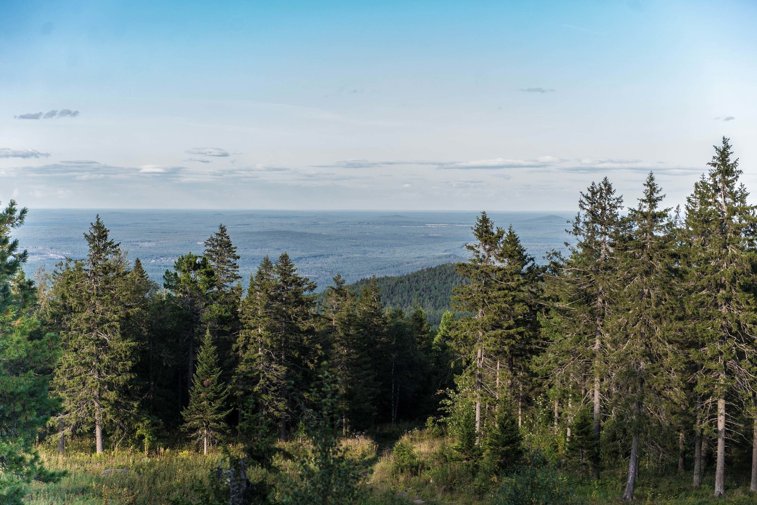 Качканар 24.08.2019. Свадебный фотограф на Урале Виктор Соколов