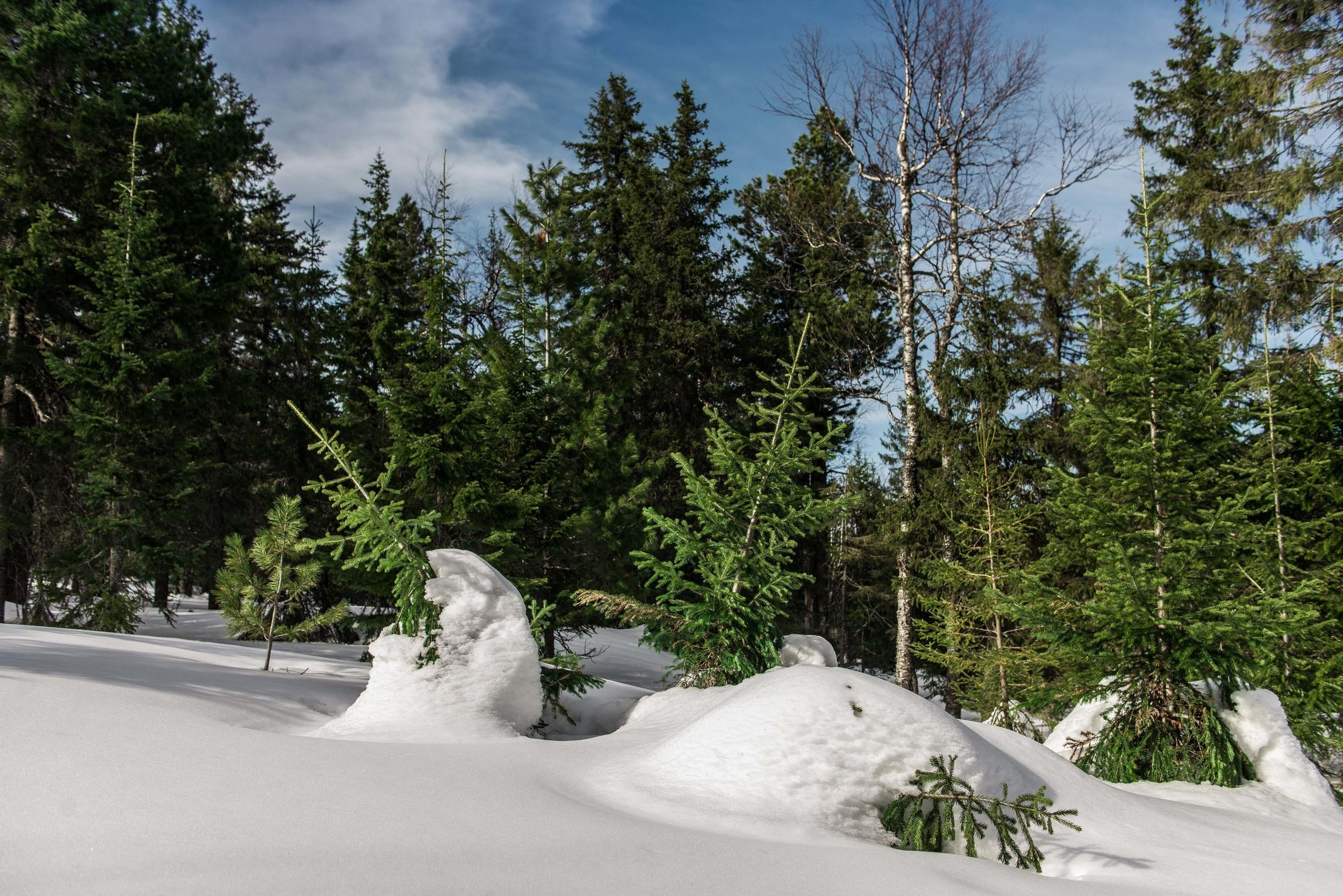Качканар 06.04.2019. Свадебный фотограф на Урале Виктор Соколов