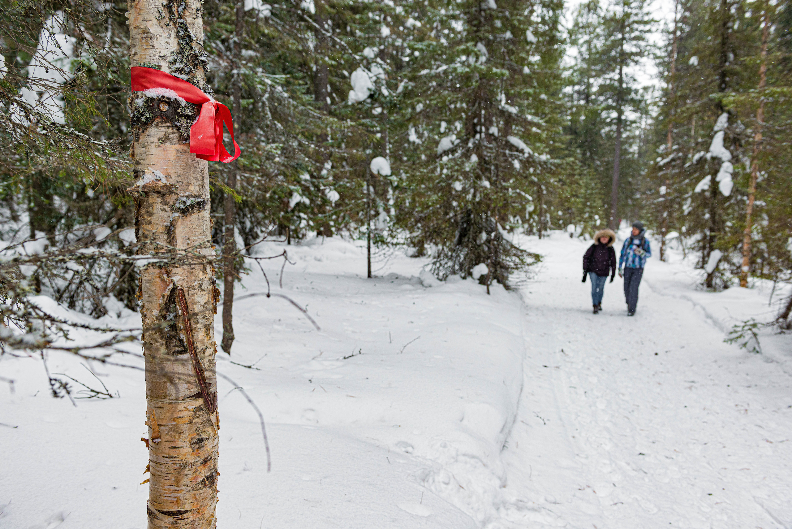 Качканар 07.03.2020. Свадебный фотограф на Урале Виктор Соколов