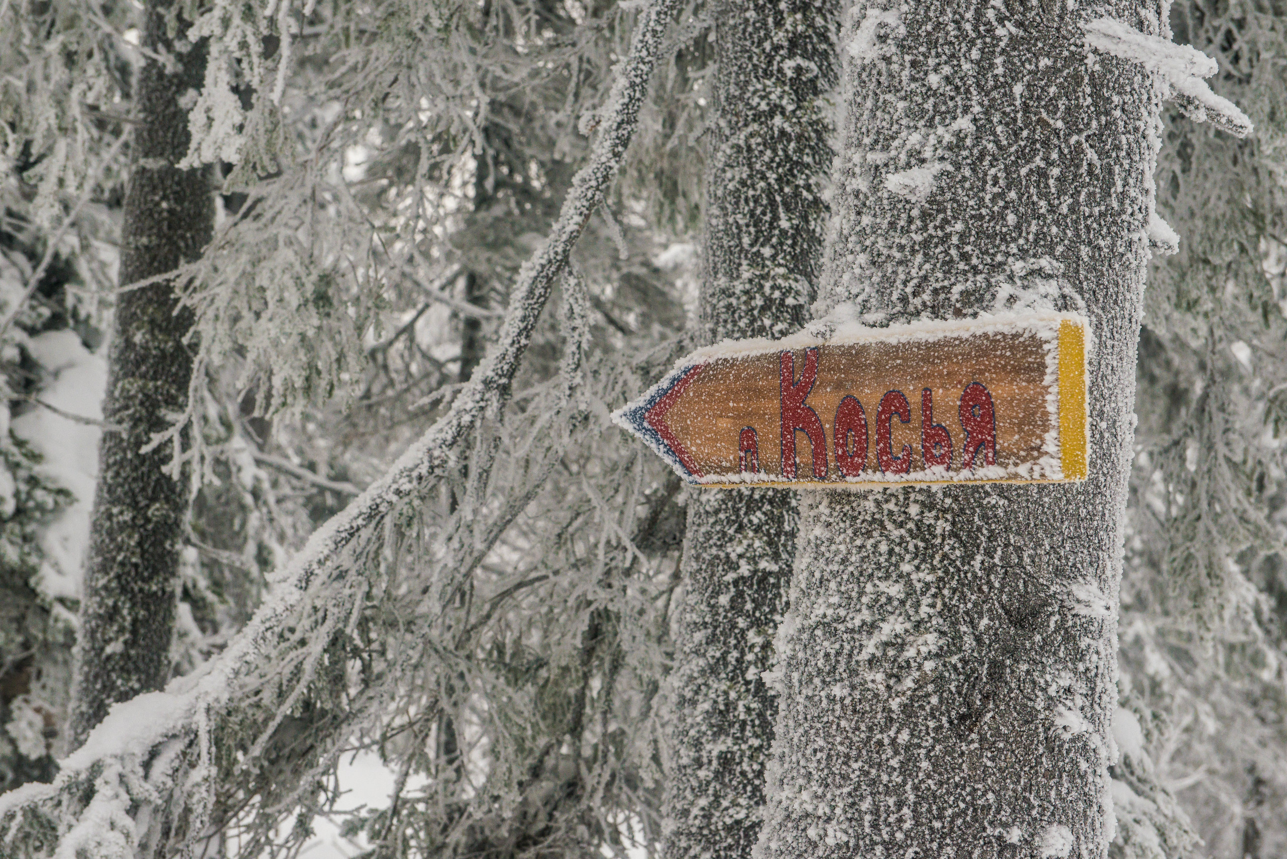 Качканар 06.01.2020. Свадебный фотограф на Урале Виктор Соколов
