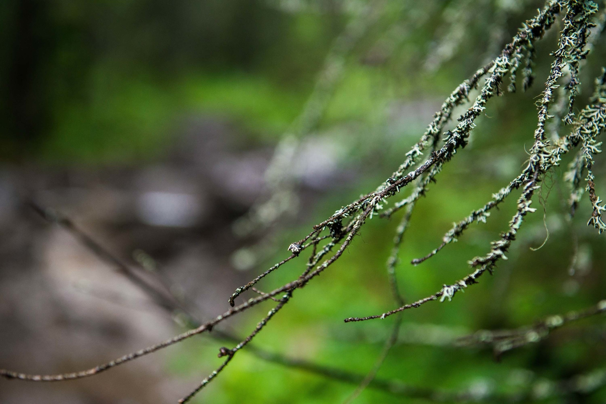 Качканар 03.08.2019. Свадебный фотограф на Урале Виктор Соколов