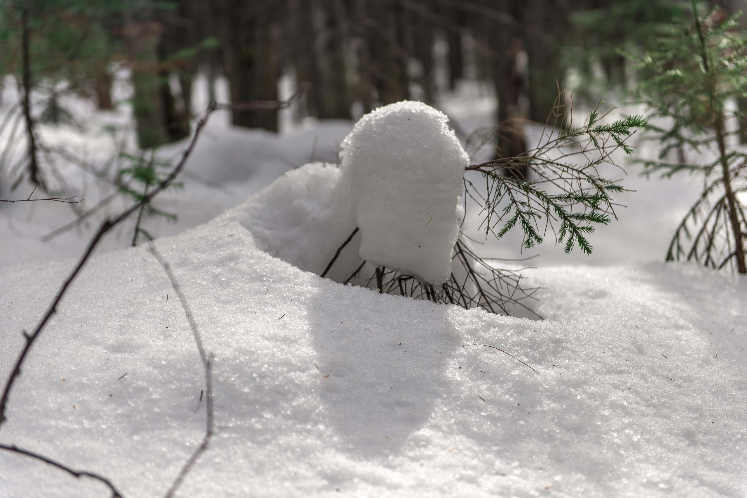 Качканар 06.04.2019. Свадебный фотограф на Урале Виктор Соколов