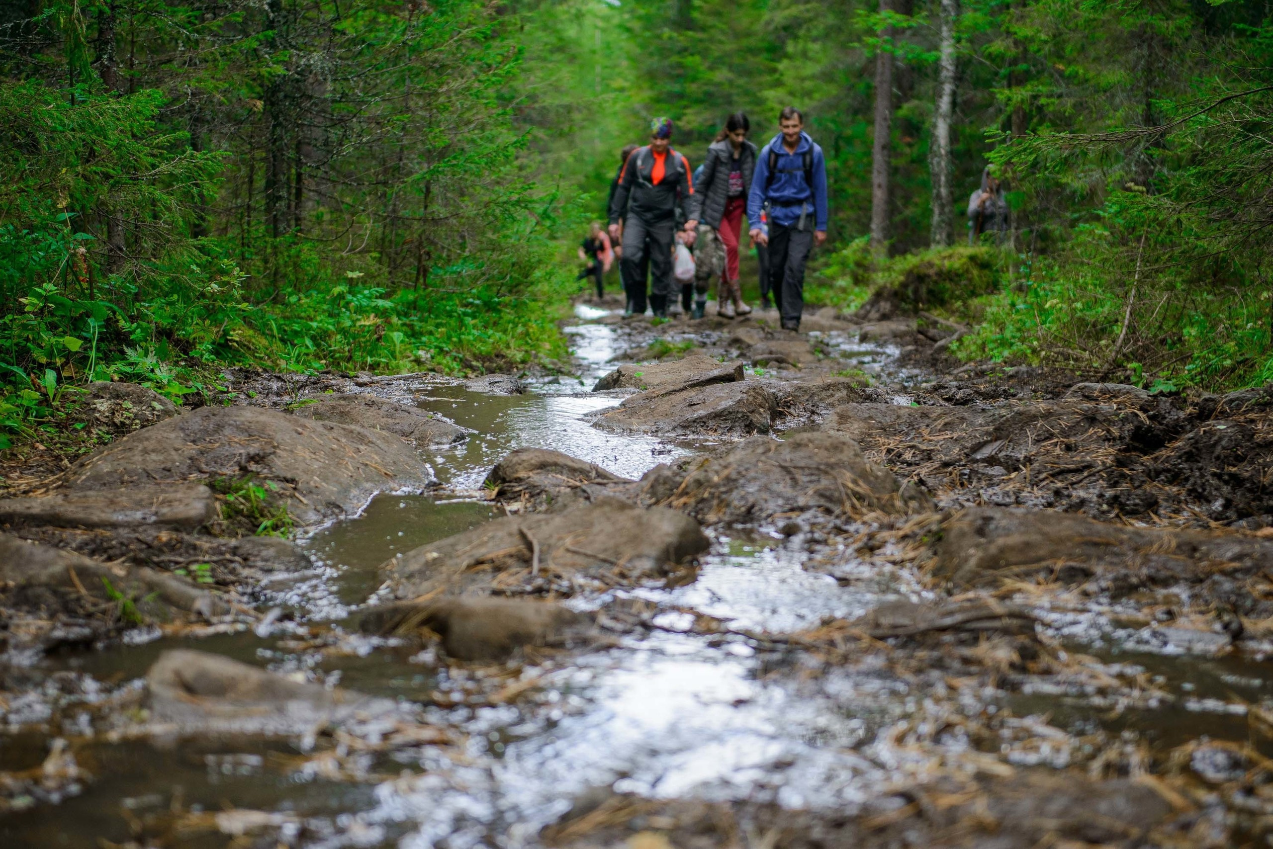 Качканар 24.08.2019. Свадебный фотограф на Урале Виктор Соколов