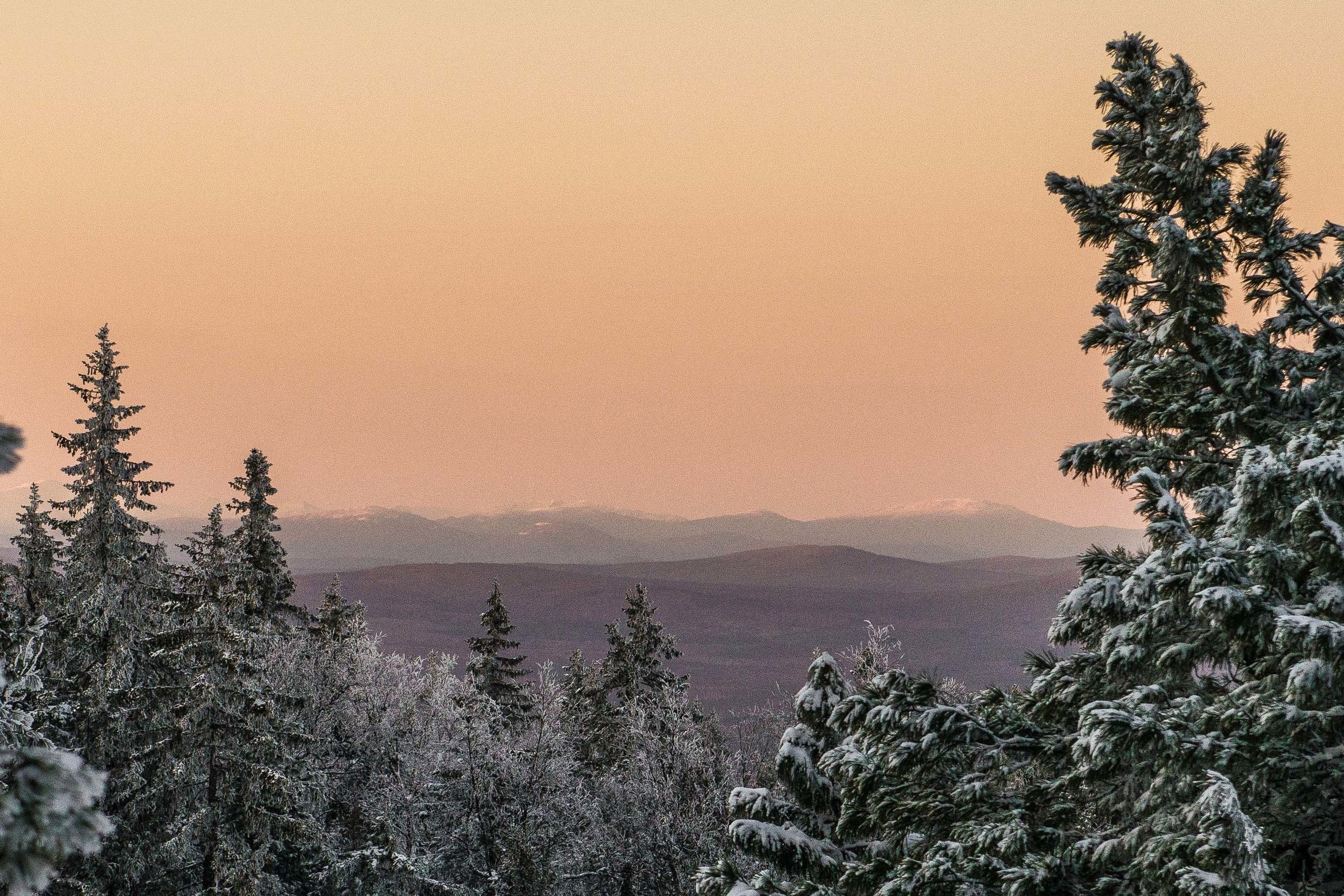 Качканар 19.10.2019. Свадебный фотограф на Урале Виктор Соколов