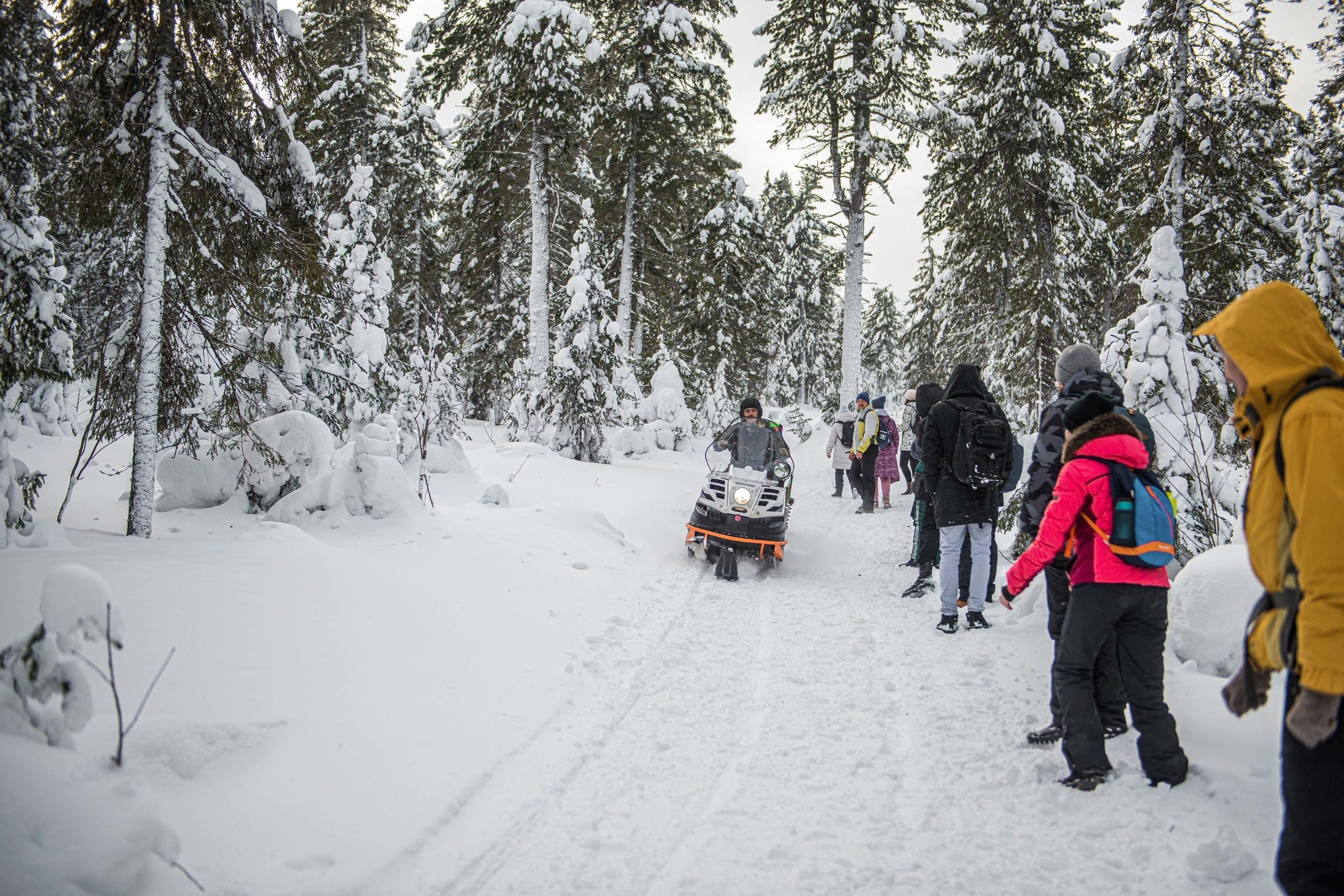 Качканар 15.02.2020. Свадебный фотограф на Урале Виктор Соколов