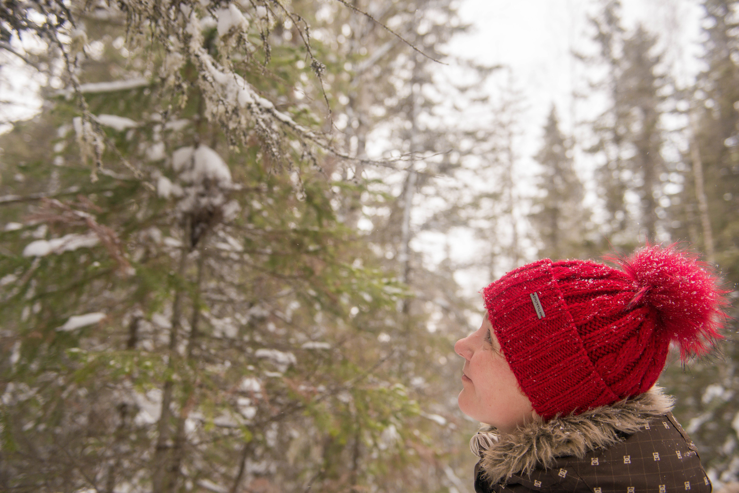 Качканар 06.01.2020. Свадебный фотограф на Урале Виктор Соколов