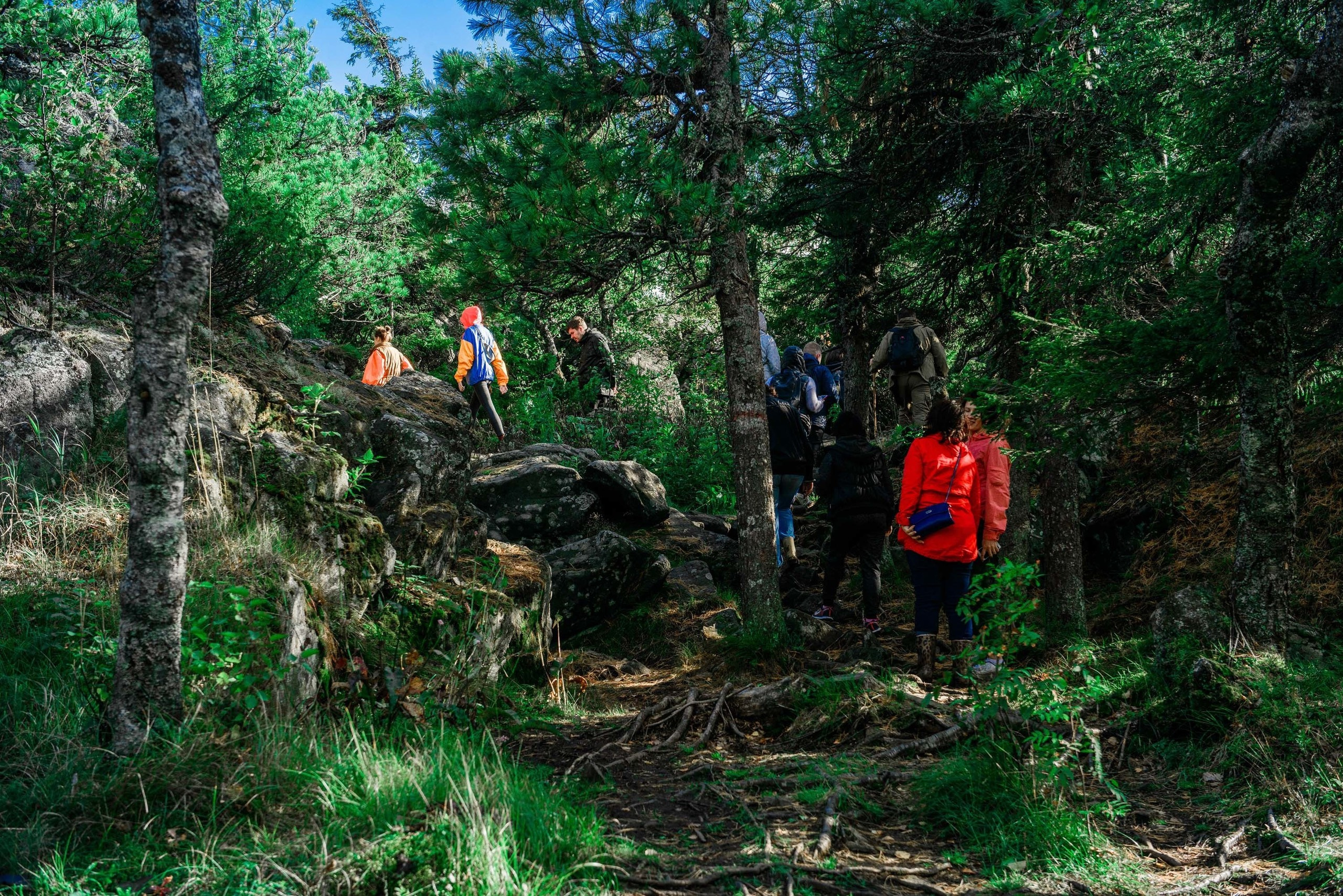 Качканар 24.08.2019. Свадебный фотограф на Урале Виктор Соколов
