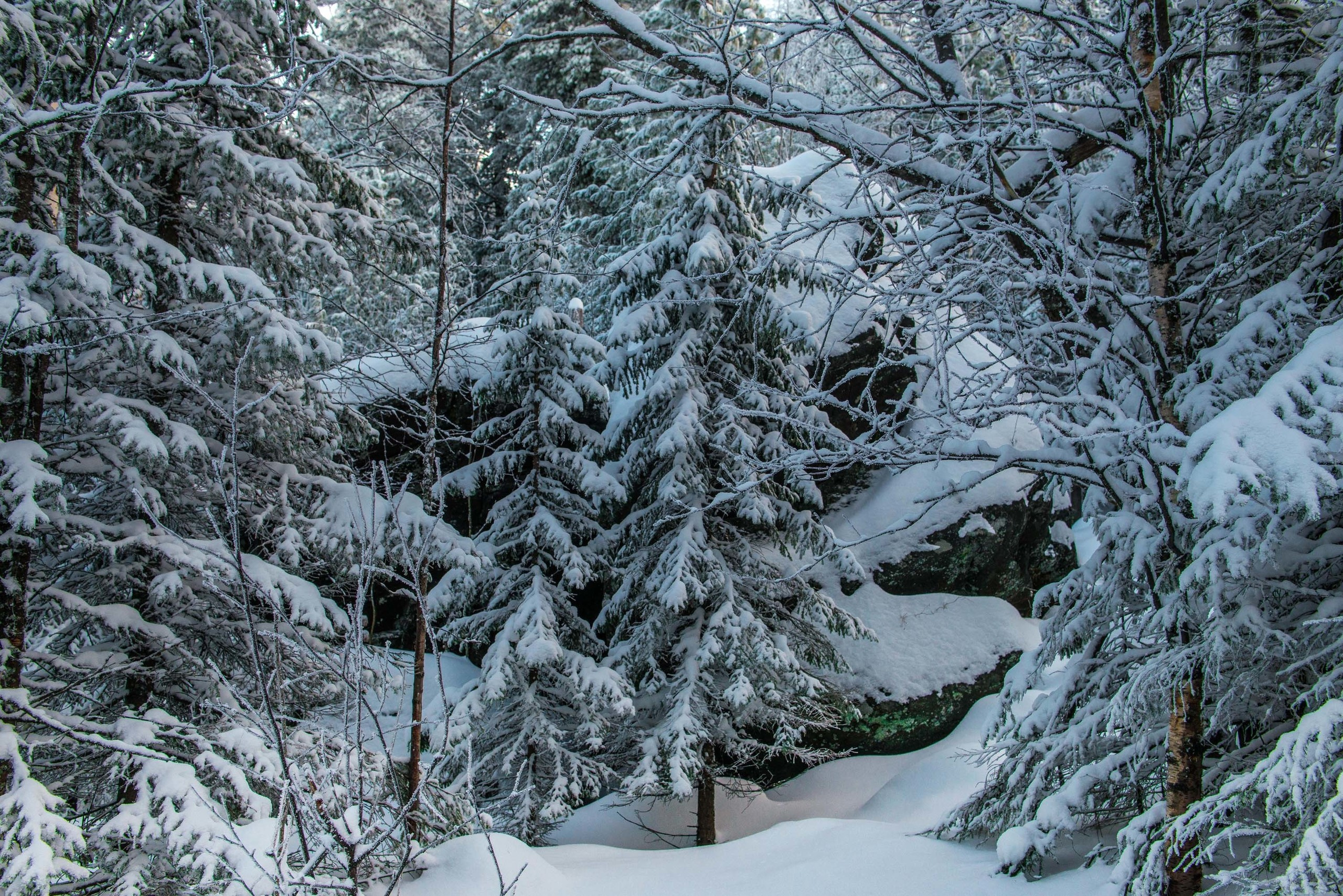 Качканар 24.11.2018. Свадебный фотограф на Урале Виктор Соколов