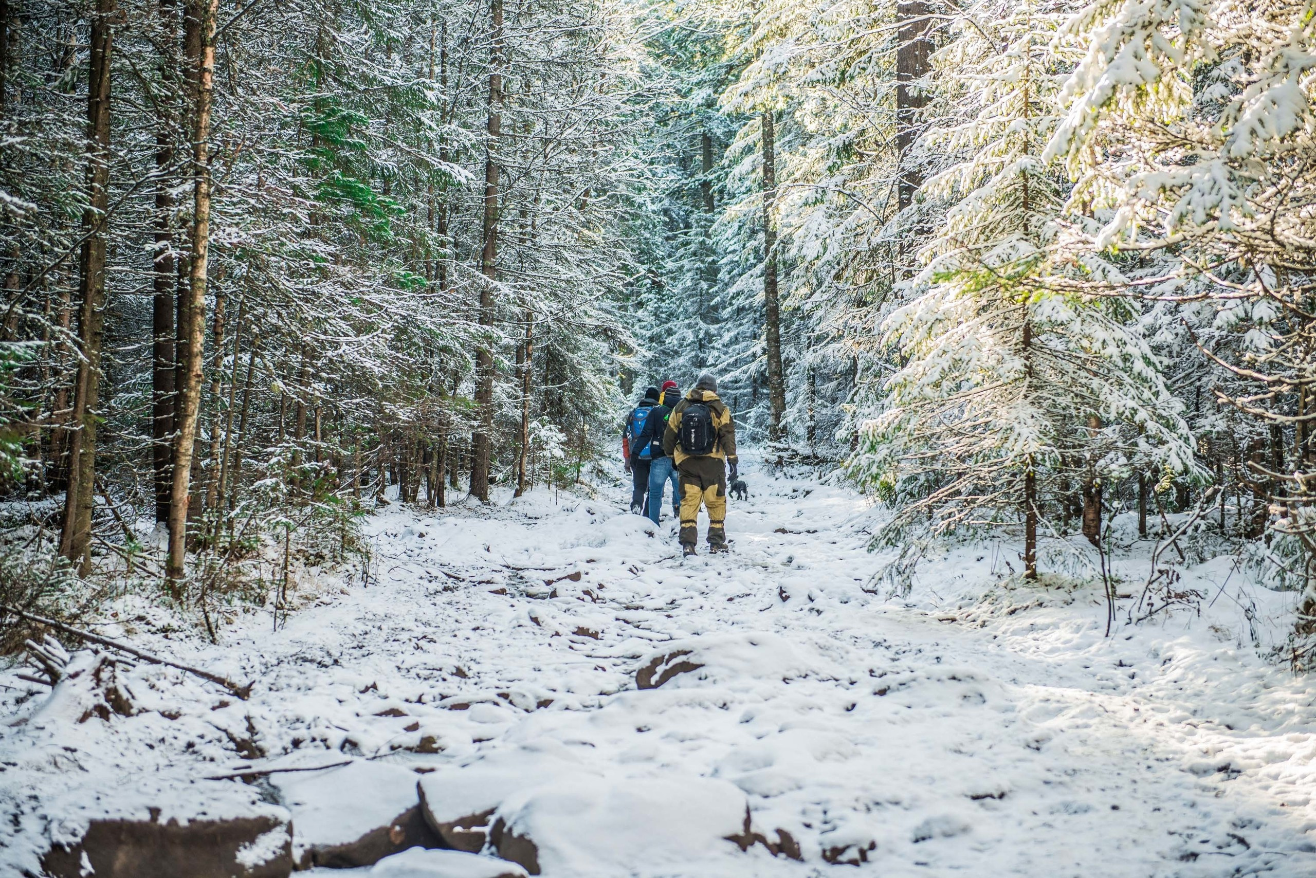 Качканар 19.10.2019. Свадебный фотограф на Урале Виктор Соколов