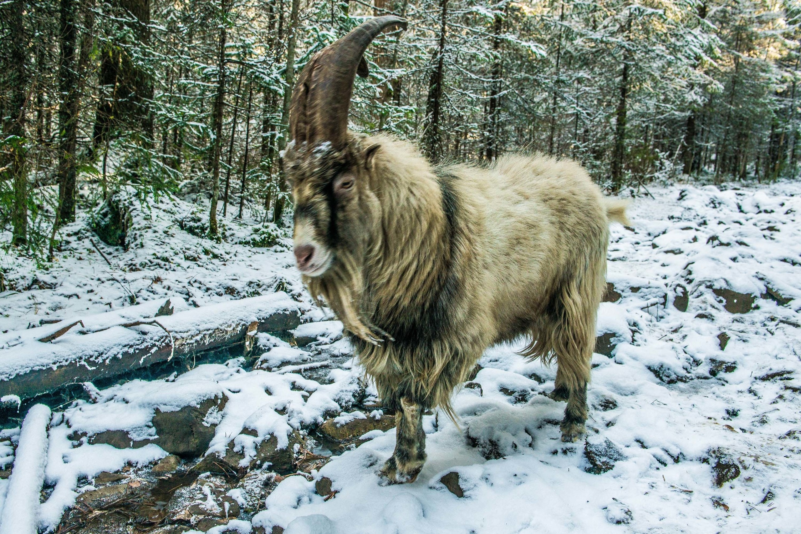 Качканар 19.10.2019. Свадебный фотограф на Урале Виктор Соколов