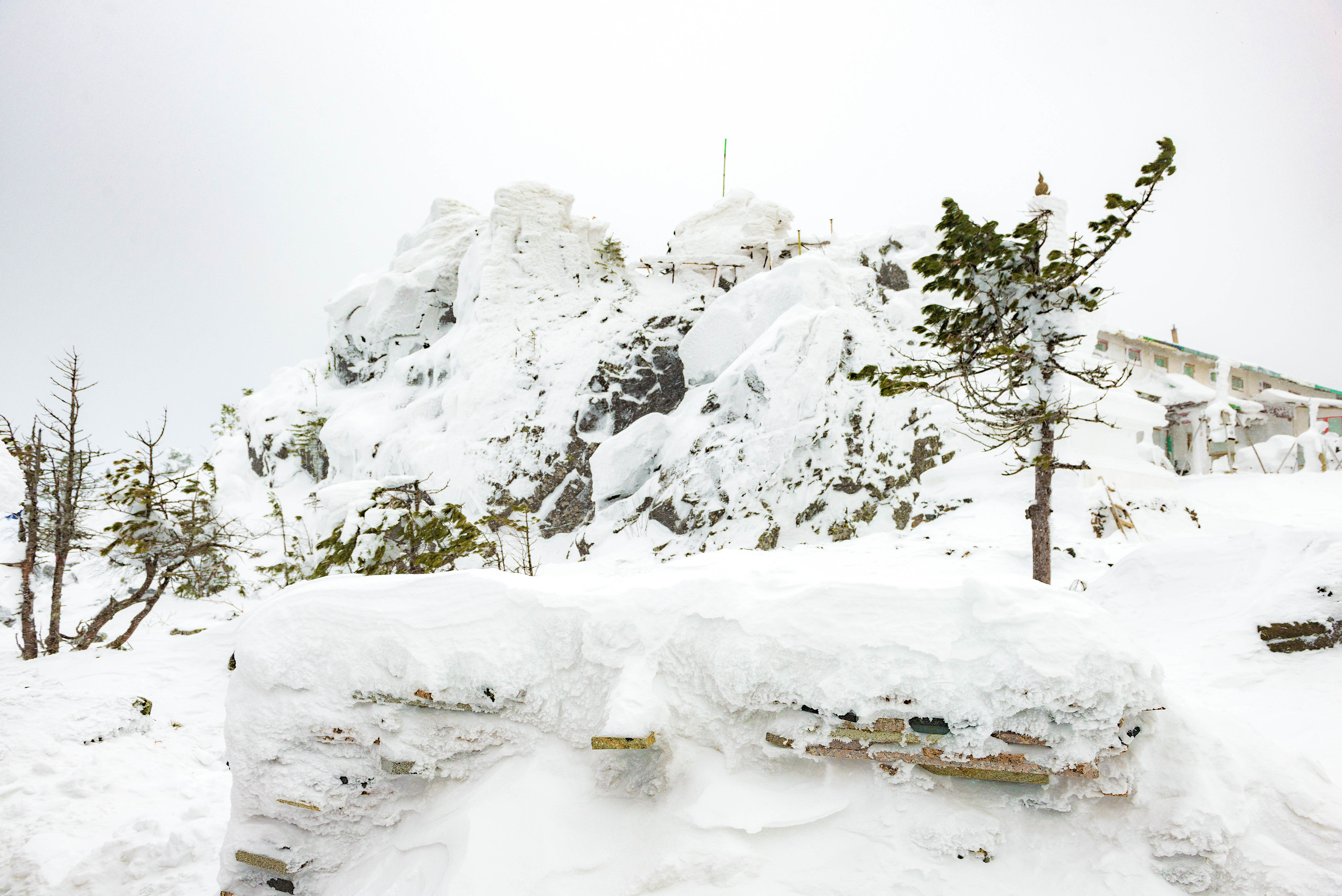 Качканар 07.03.2020. Свадебный фотограф на Урале Виктор Соколов