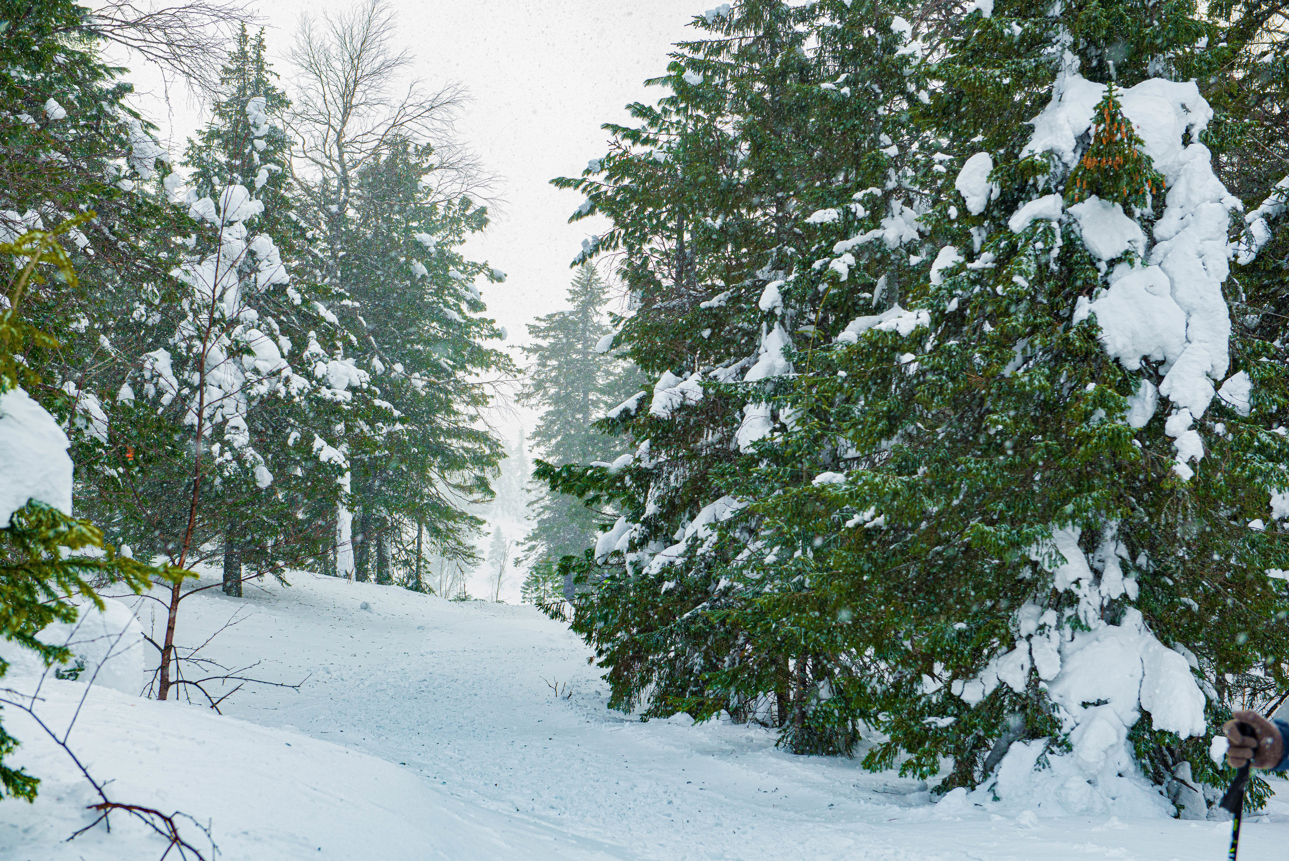 Качканар 07.03.2020. Свадебный фотограф на Урале Виктор Соколов