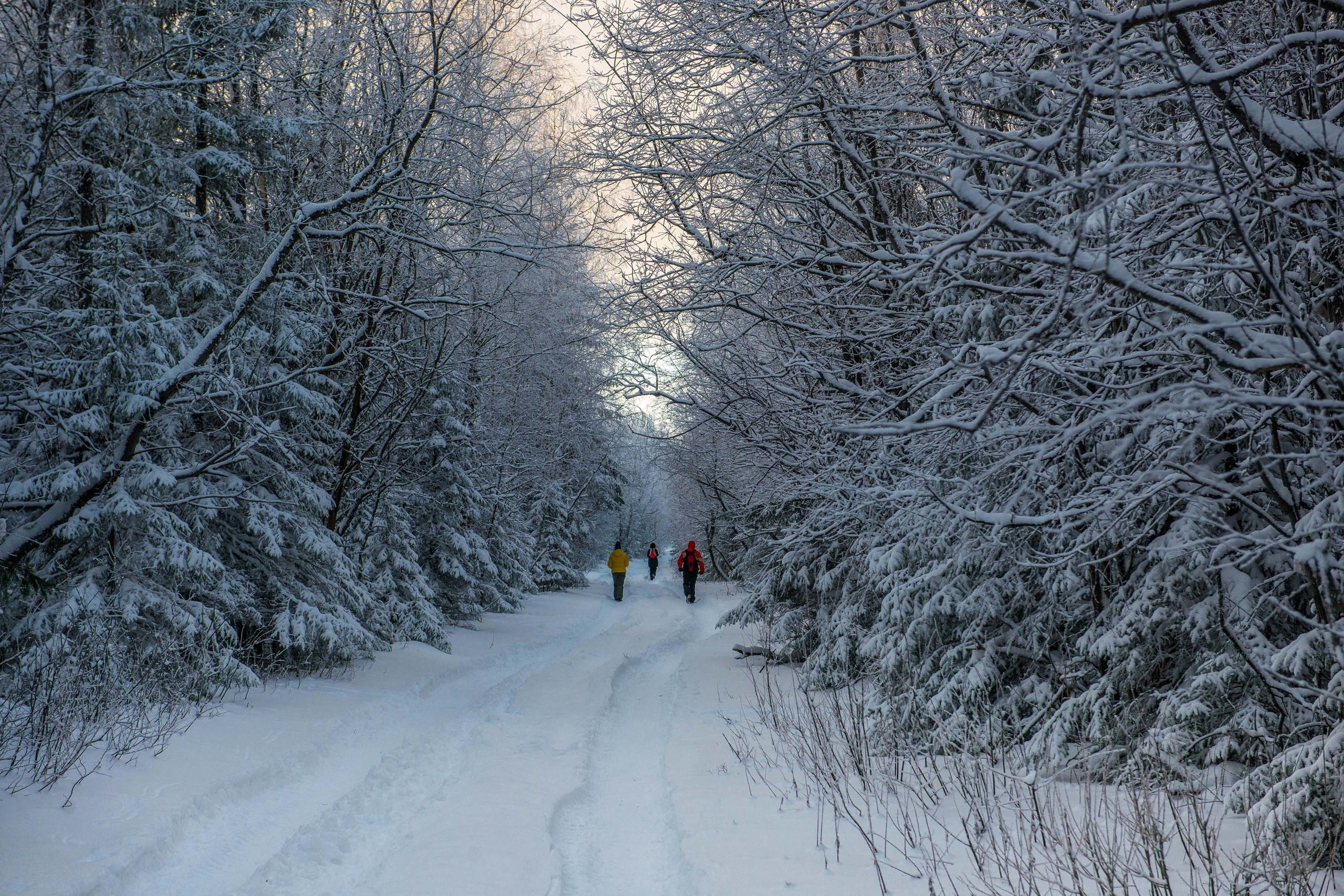 Качканар 24.11.2018. Свадебный фотограф на Урале Виктор Соколов