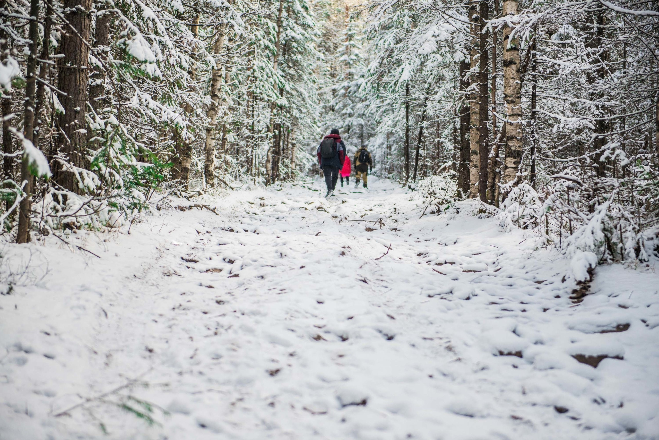 Качканар 19.10.2019. Свадебный фотограф на Урале Виктор Соколов