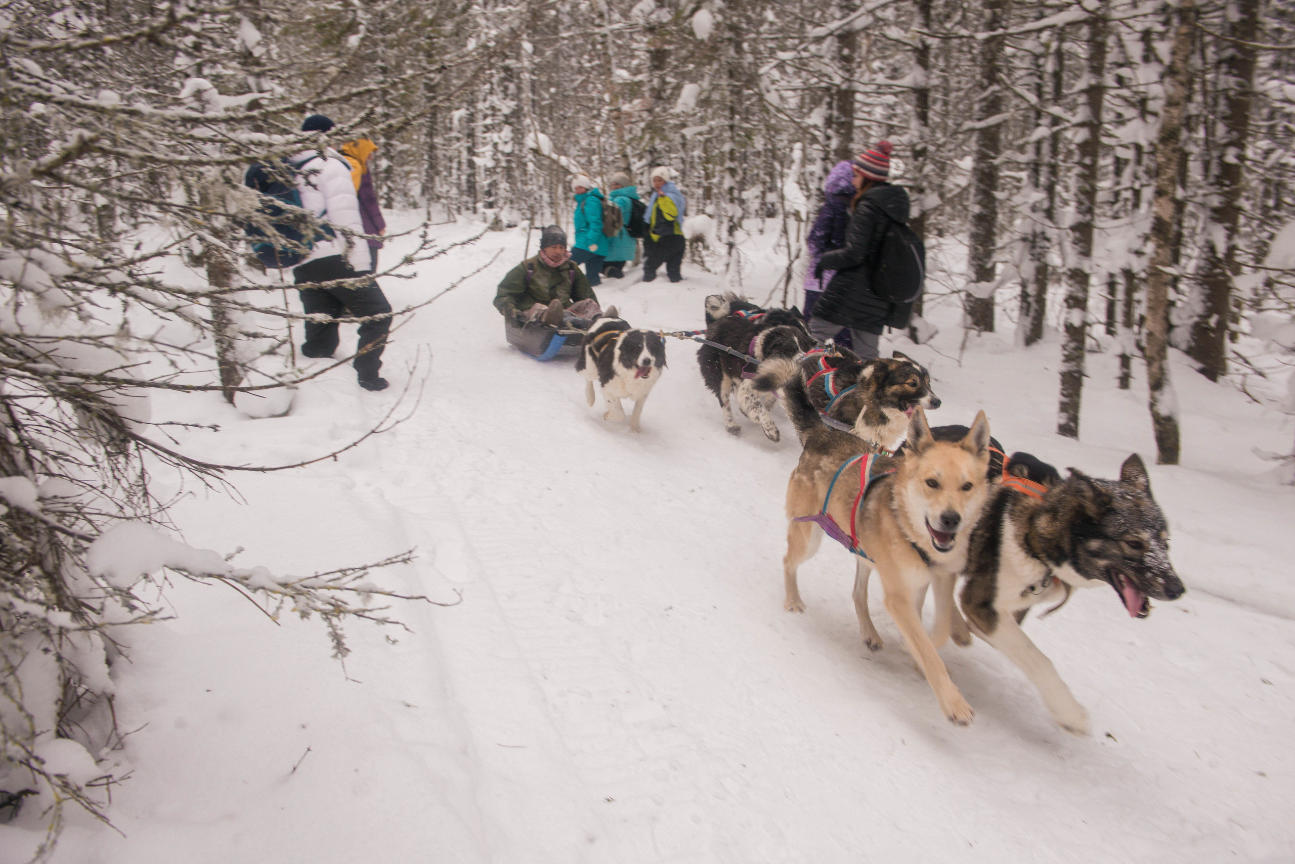Качканар 06.01.2020. Свадебный фотограф на Урале Виктор Соколов