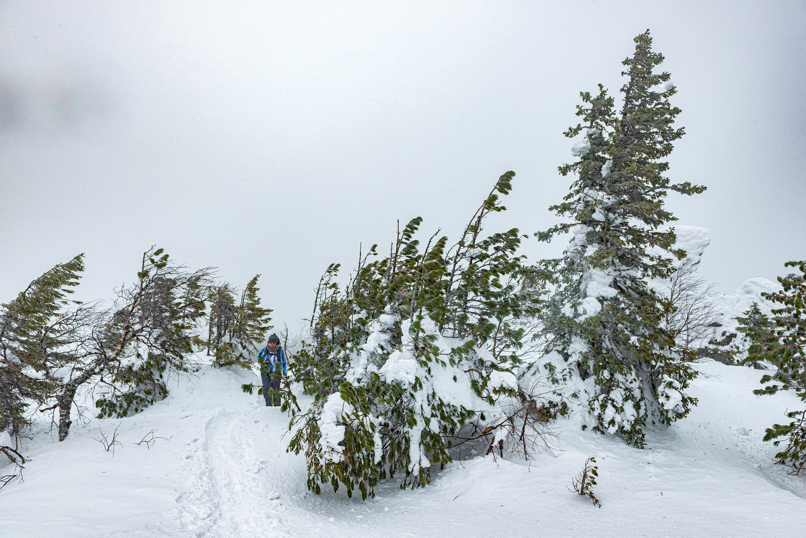 Качканар 07.03.2020. Свадебный фотограф на Урале Виктор Соколов