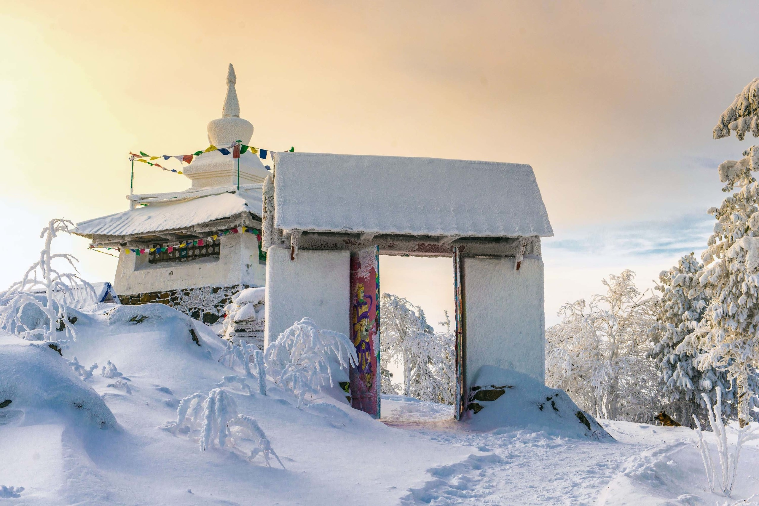 Качканар 24.11.2018. Свадебный фотограф на Урале Виктор Соколов