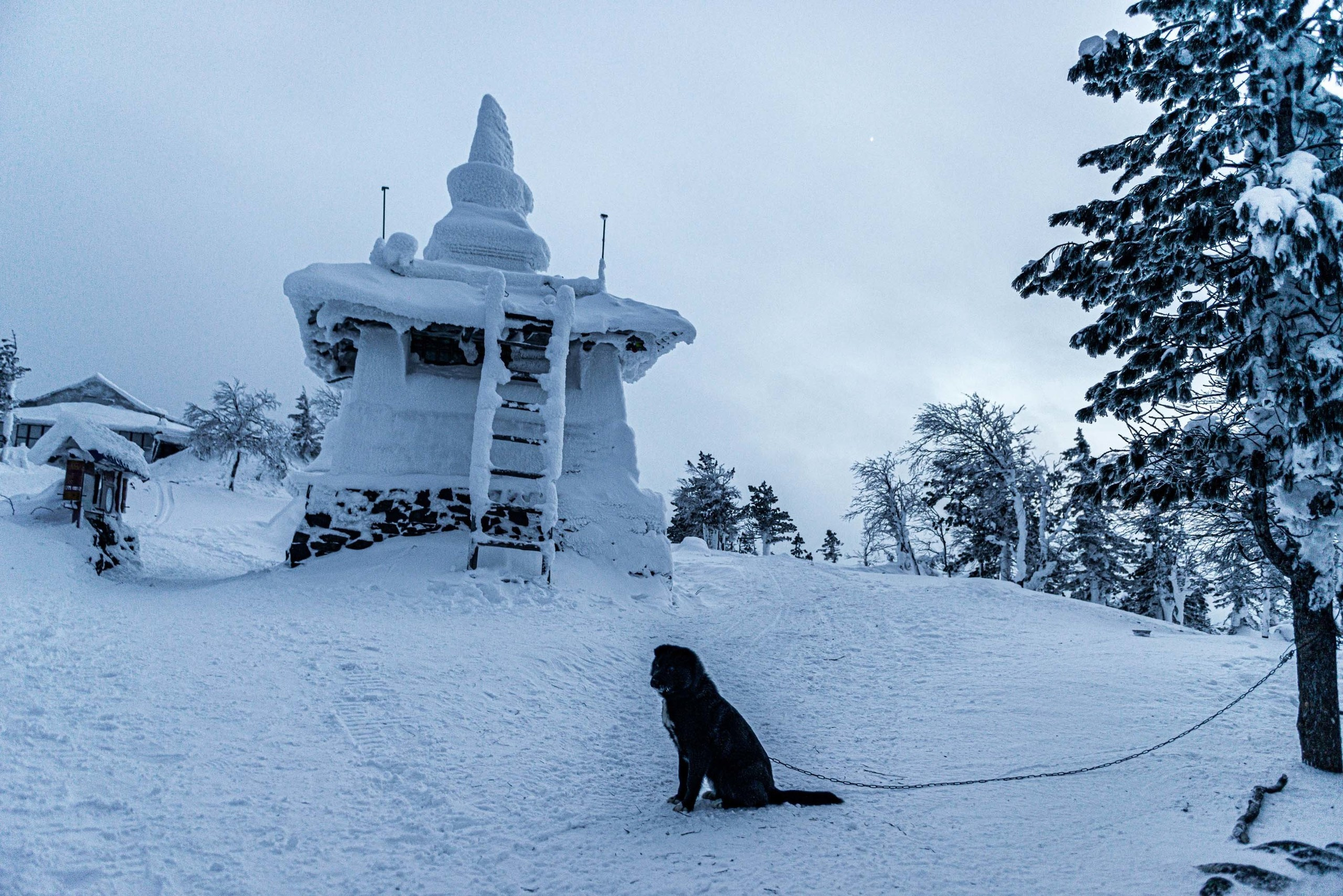 Качканар 15.02.2020. Свадебный фотограф на Урале Виктор Соколов