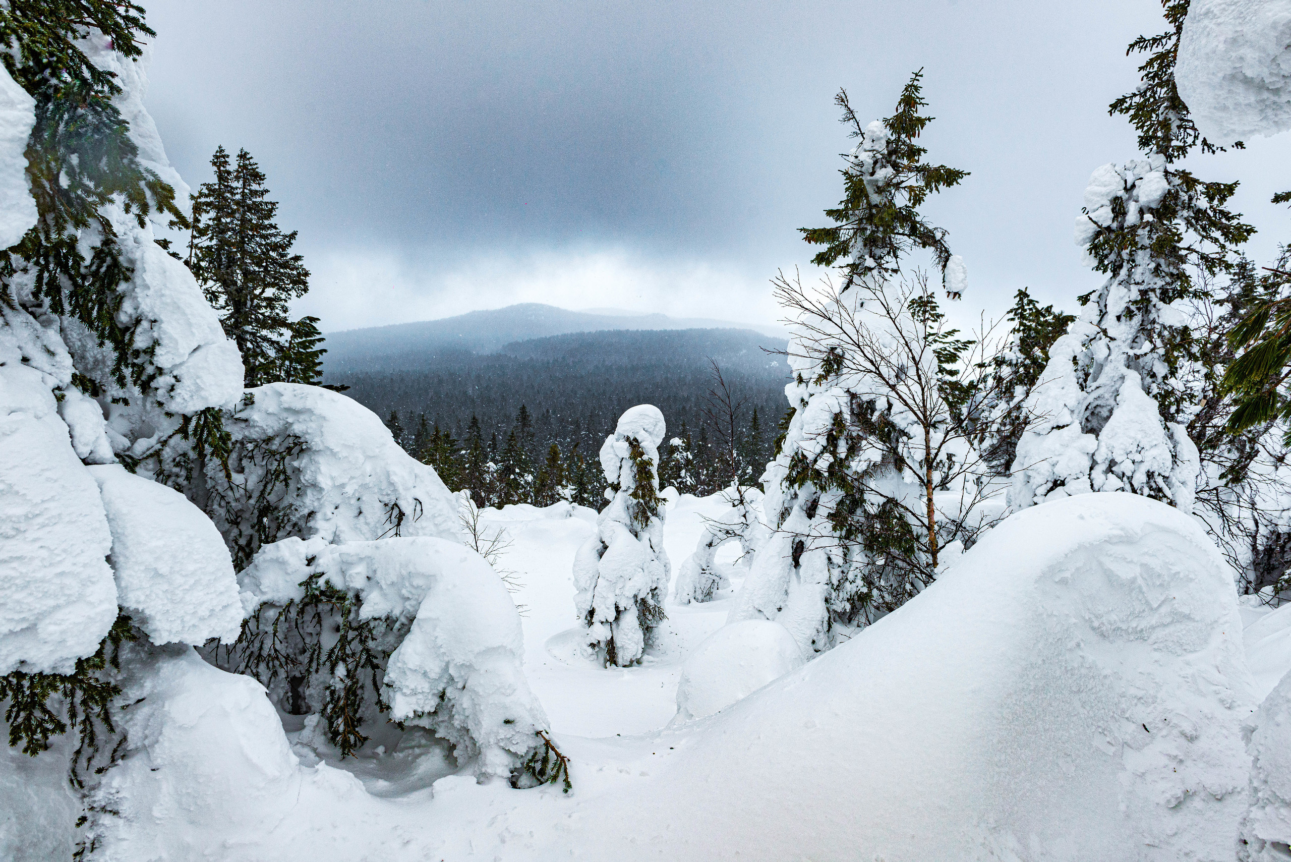 Качканар 07.03.2020. Свадебный фотограф на Урале Виктор Соколов