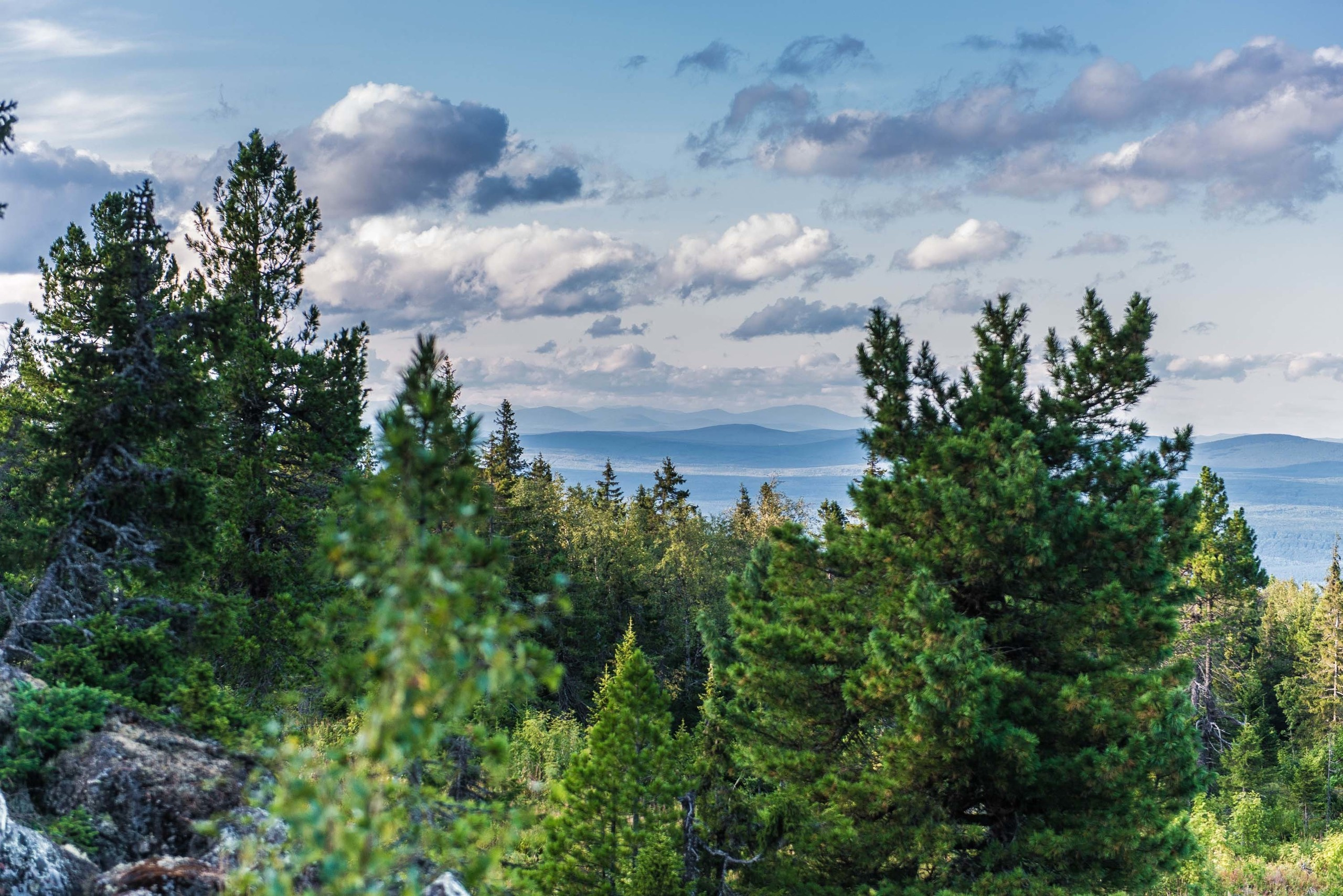 Качканар 24.08.2019. Свадебный фотограф на Урале Виктор Соколов