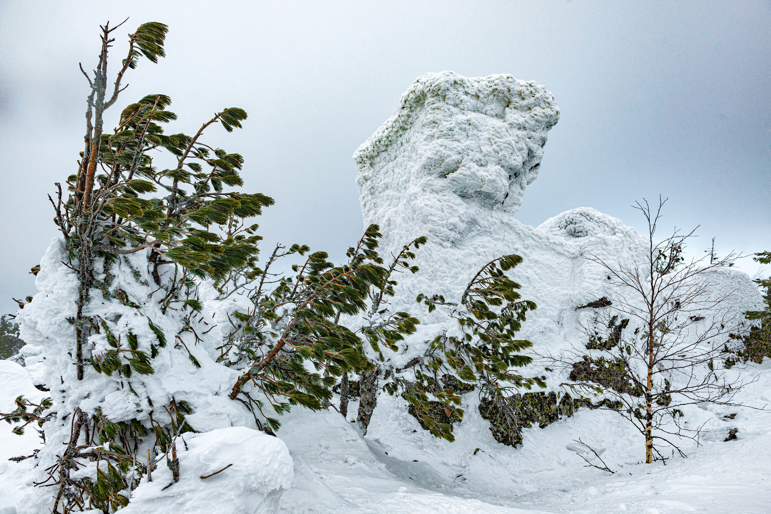 Качканар 07.03.2020. Свадебный фотограф на Урале Виктор Соколов