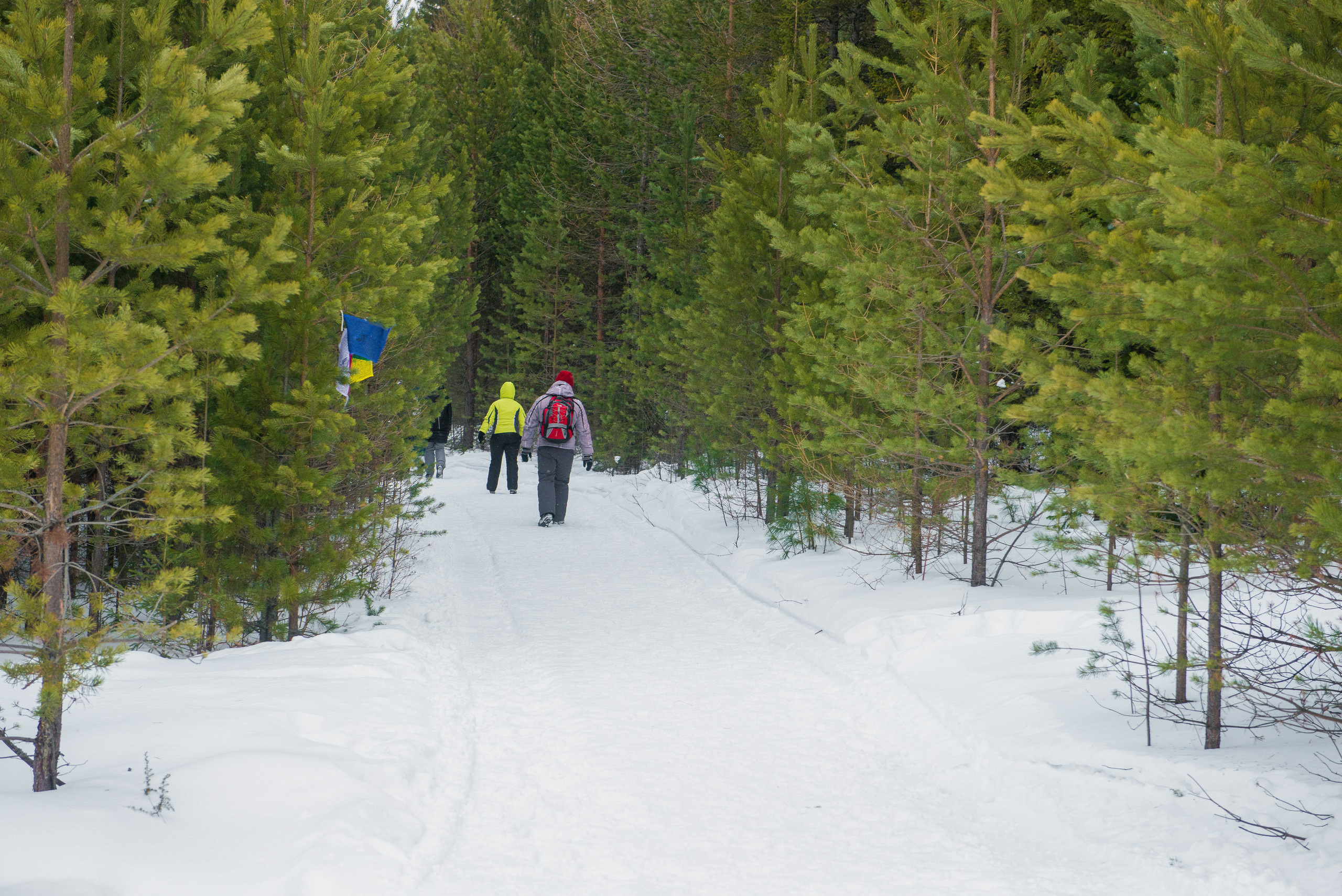 Качканар 06.01.2020. Свадебный фотограф на Урале Виктор Соколов