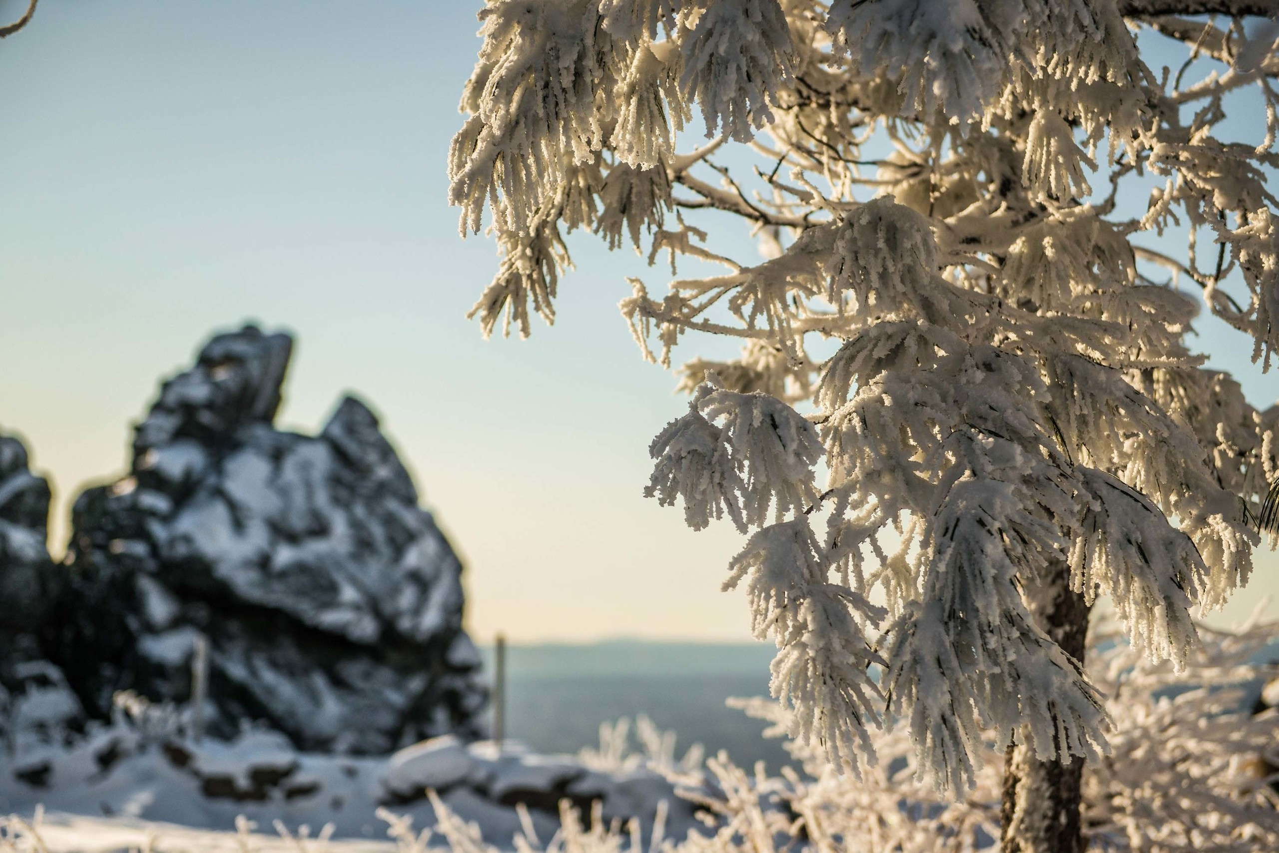 Качканар 19.10.2019. Свадебный фотограф на Урале Виктор Соколов
