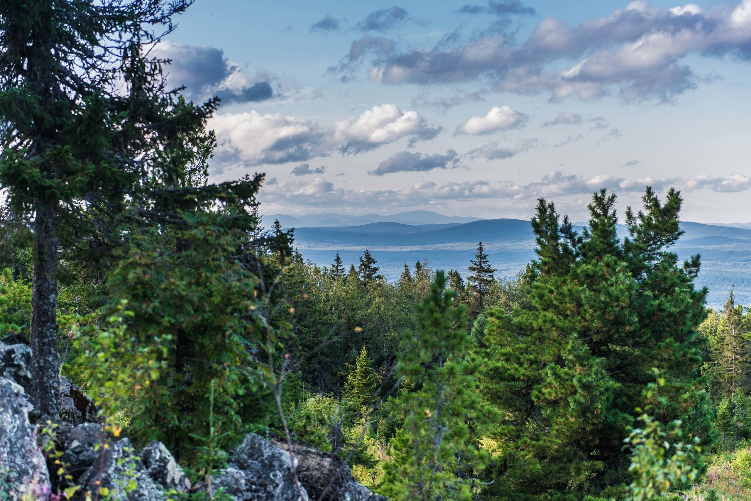 Качканар 24.08.2019. Свадебный фотограф на Урале Виктор Соколов