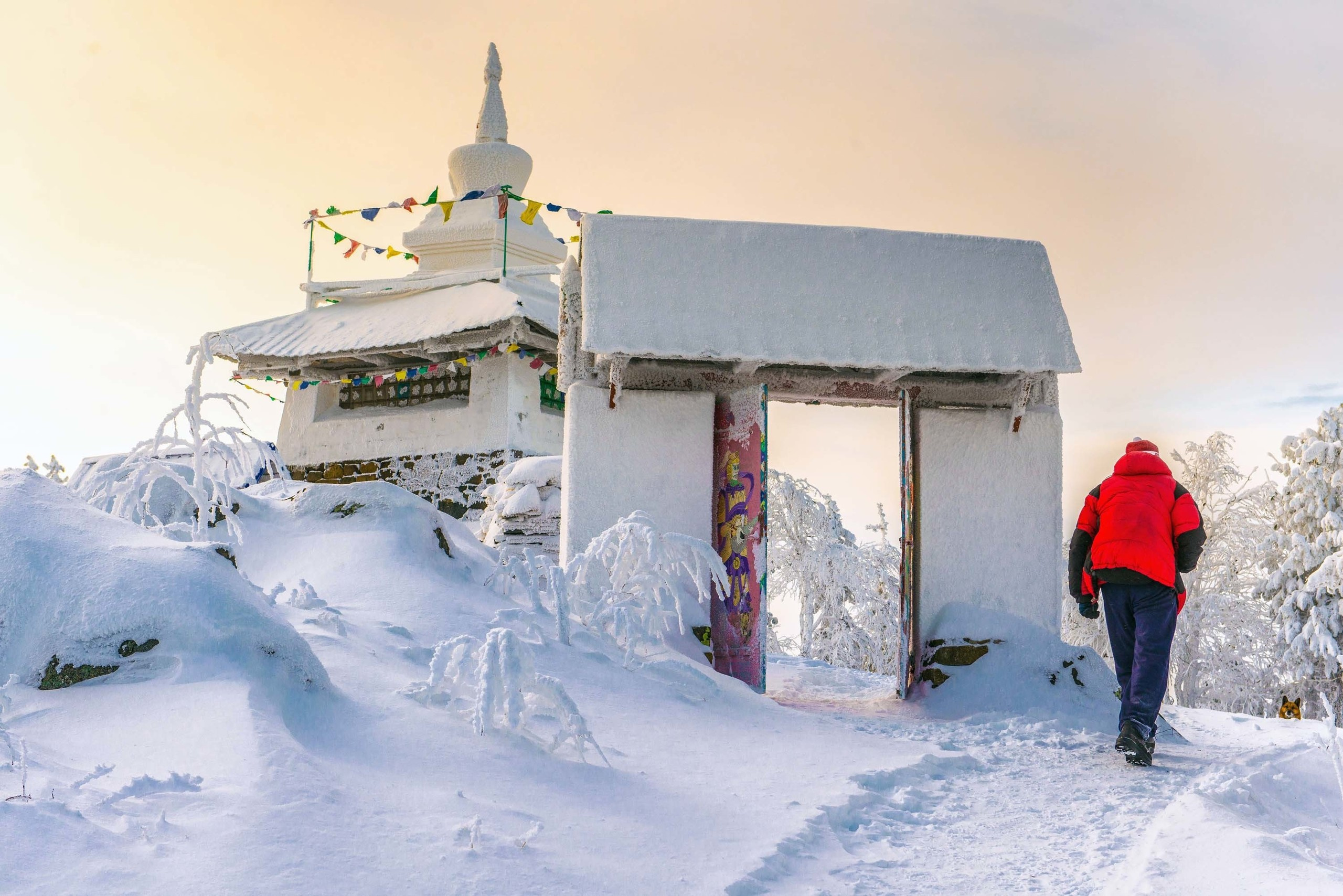 Качканар 24.11.2018. Свадебный фотограф на Урале Виктор Соколов