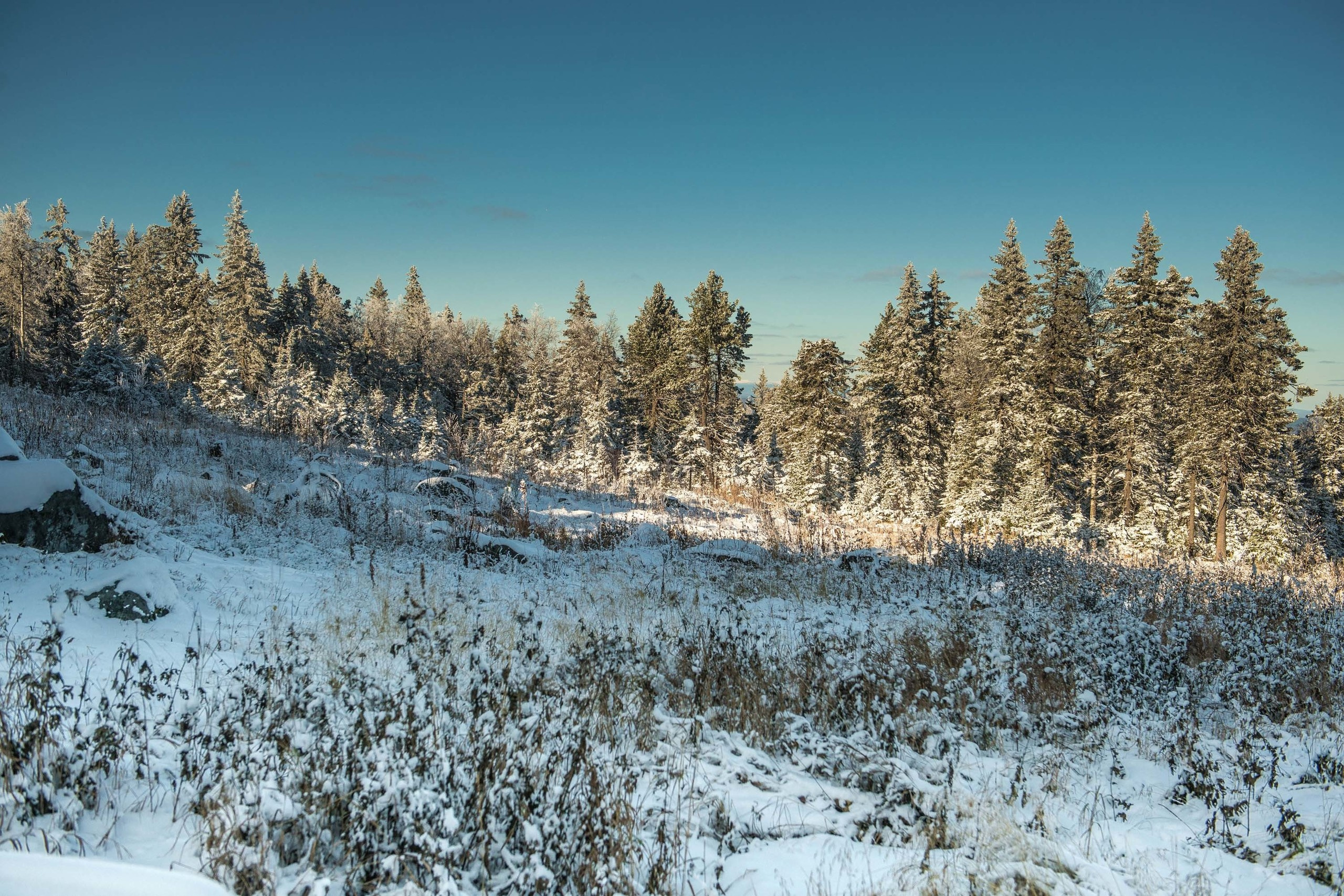 Качканар 19.10.2019. Свадебный фотограф на Урале Виктор Соколов