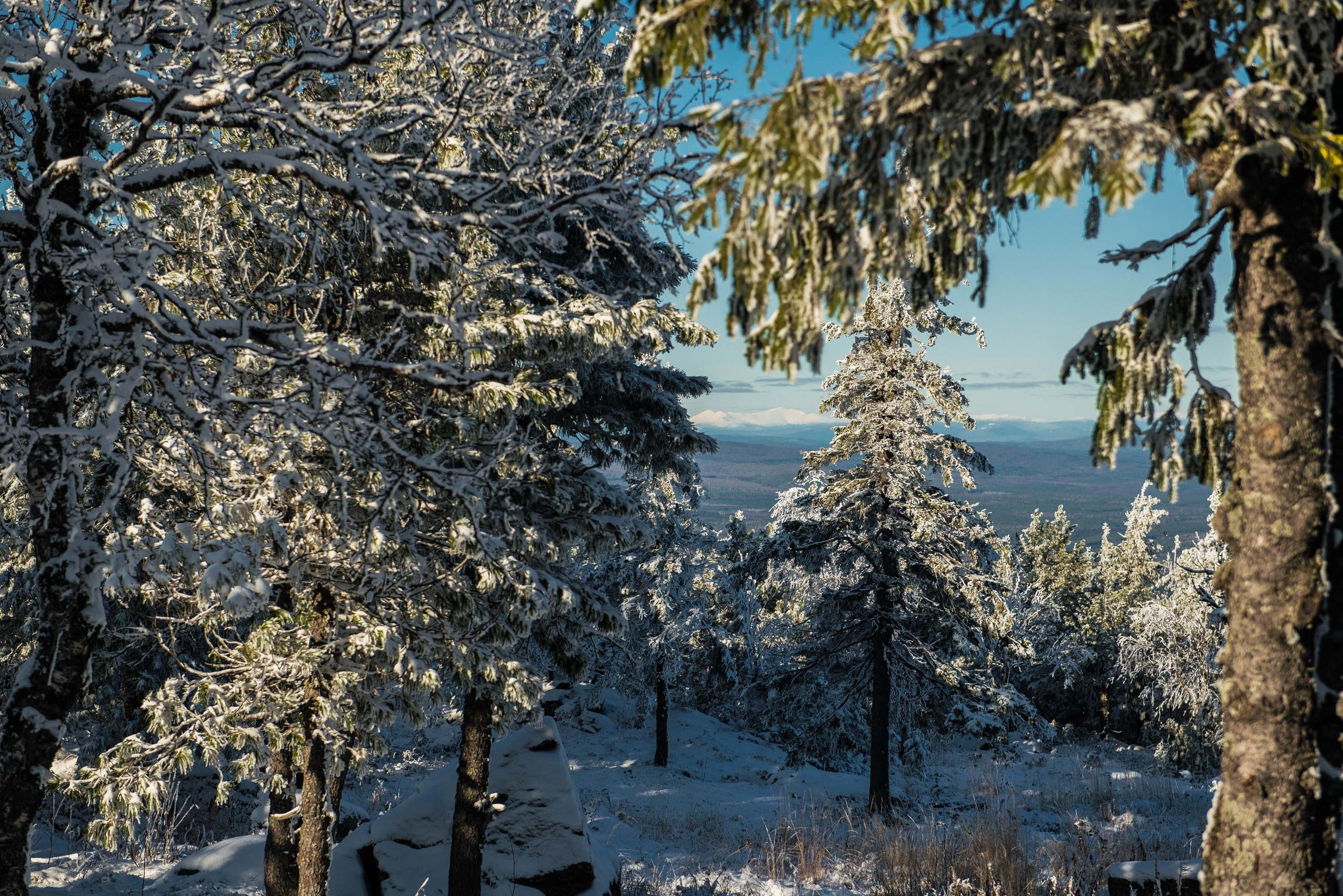 Качканар 19.10.2019. Свадебный фотограф на Урале Виктор Соколов