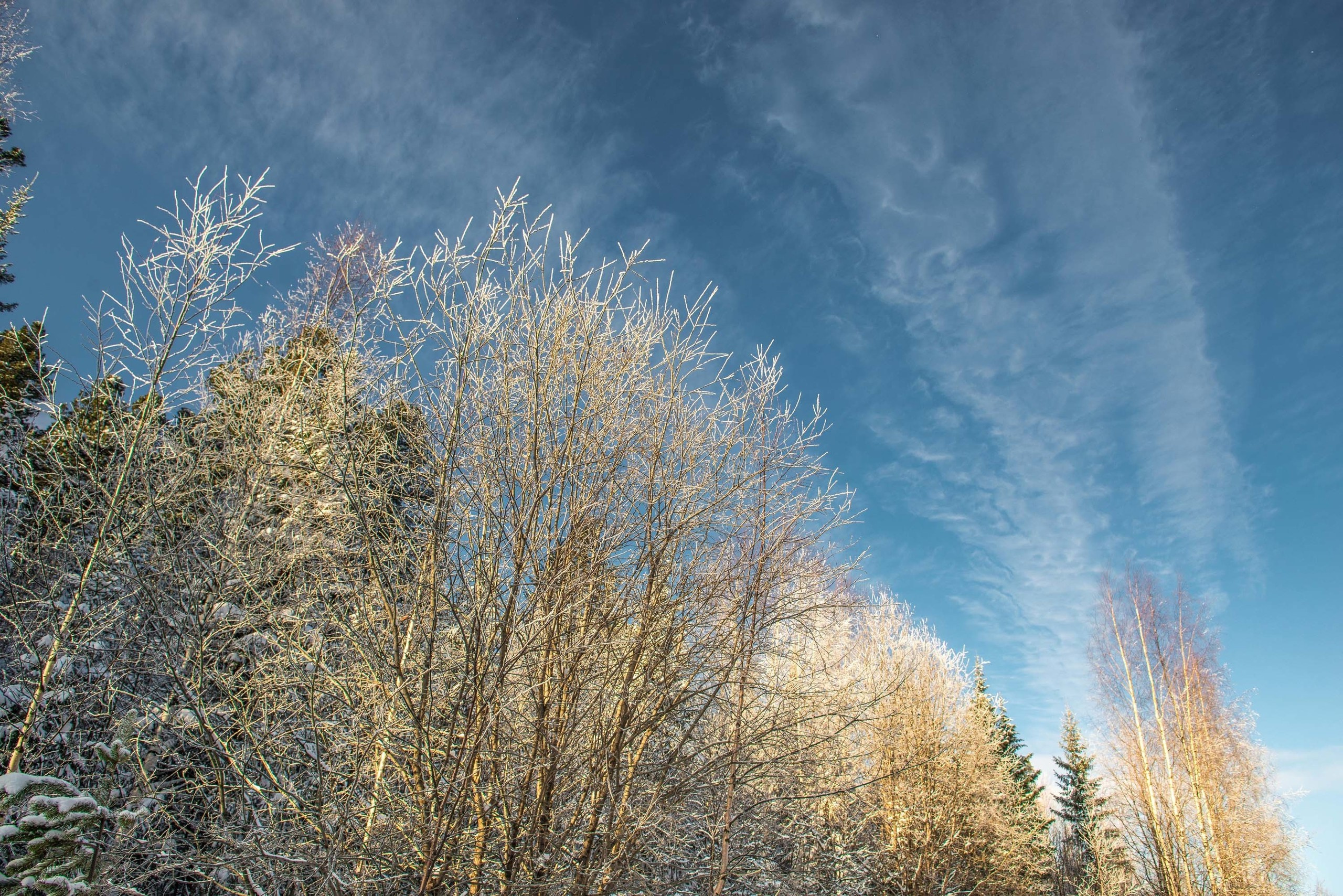 Качканар 24.11.2018. Свадебный фотограф на Урале Виктор Соколов