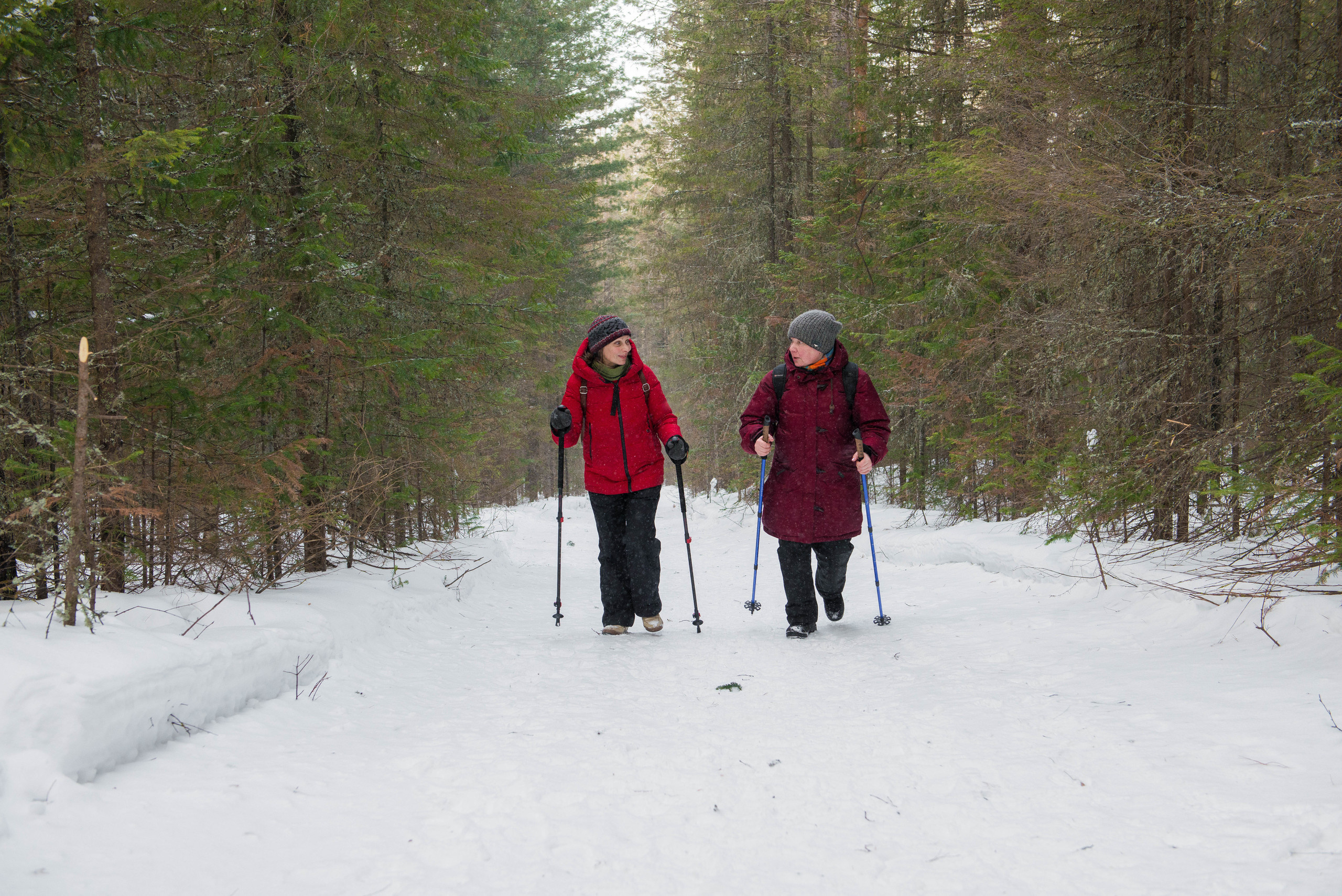 Качканар 07.03.2020. Свадебный фотограф на Урале Виктор Соколов