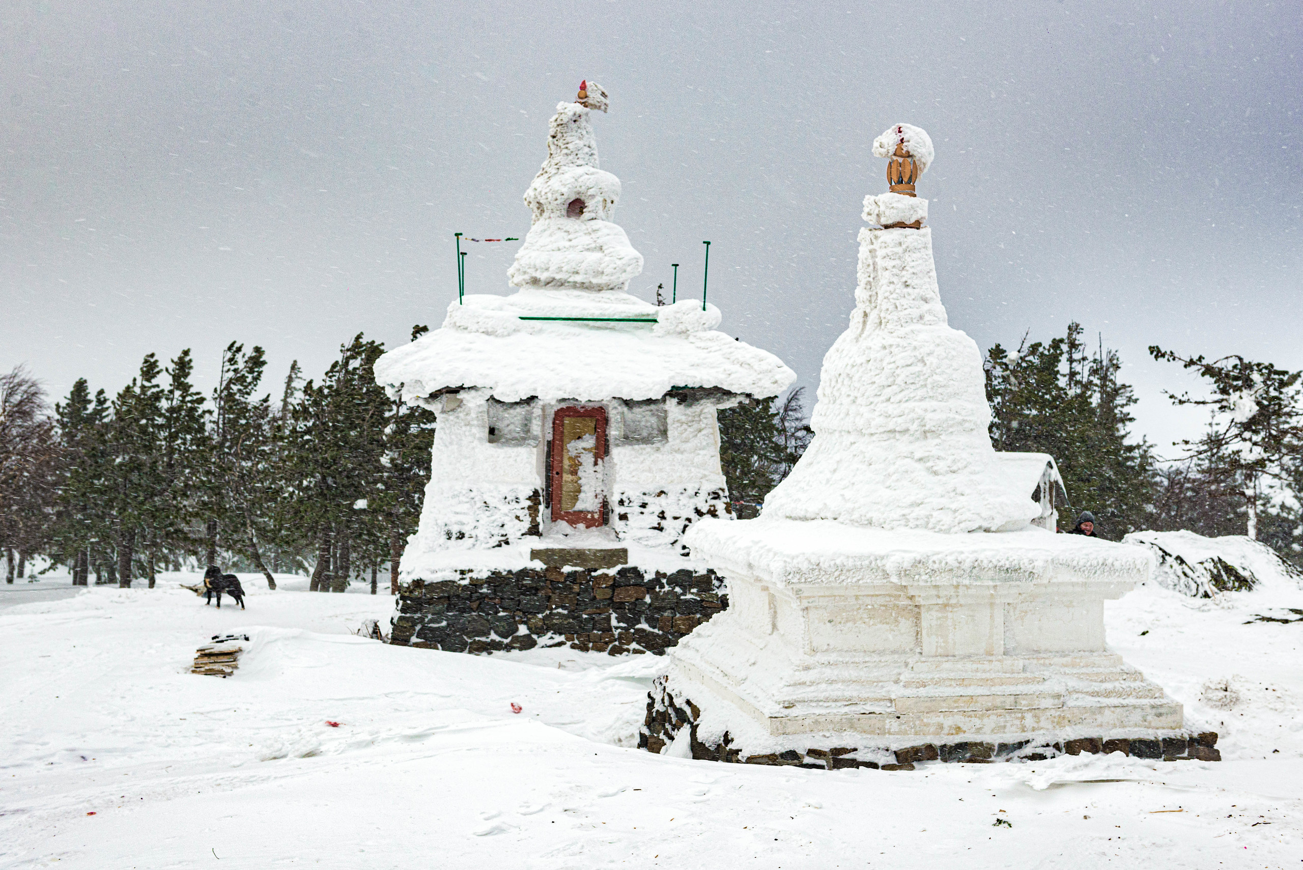 Качканар 07.03.2020. Свадебный фотограф на Урале Виктор Соколов