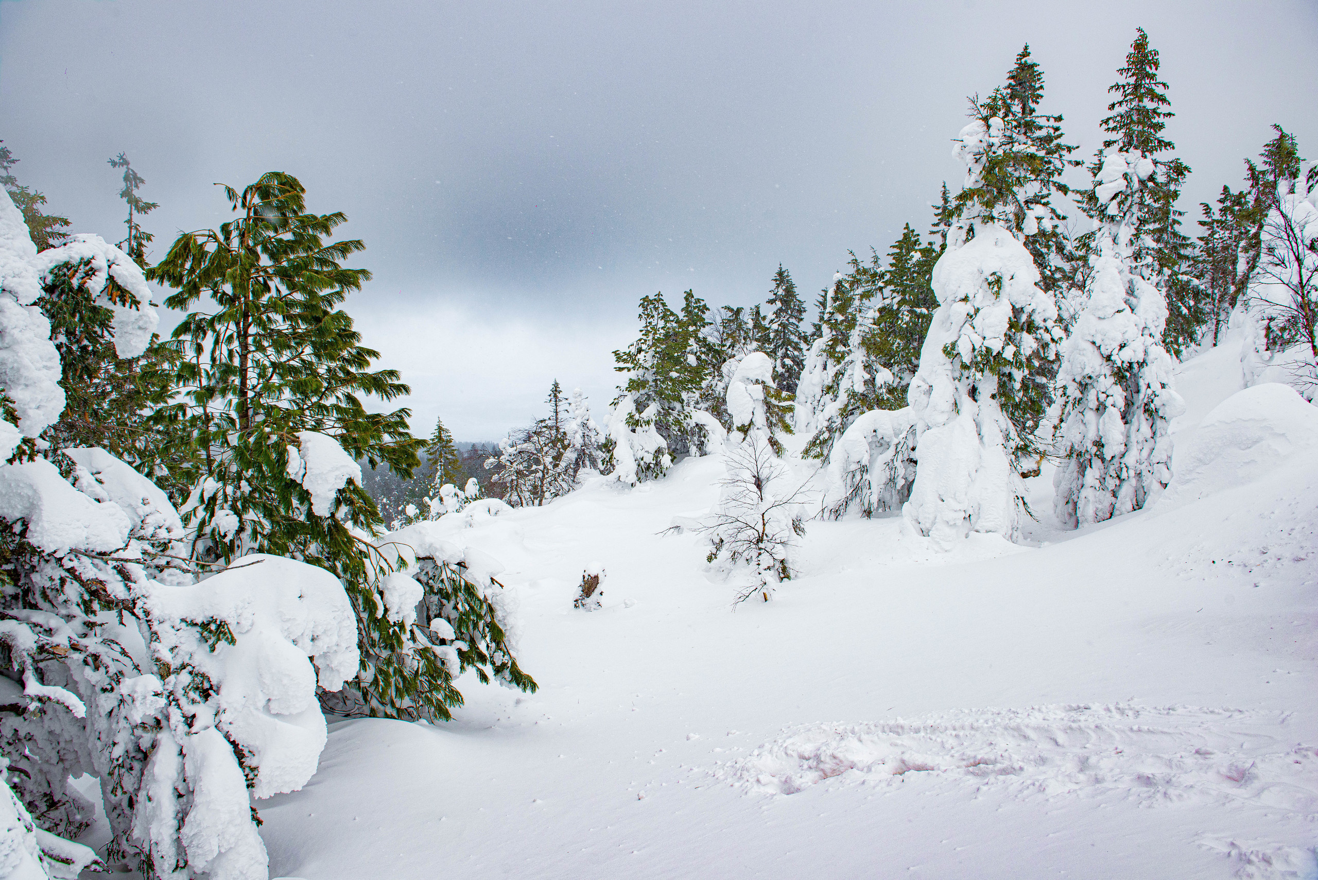 Качканар 07.03.2020. Свадебный фотограф на Урале Виктор Соколов