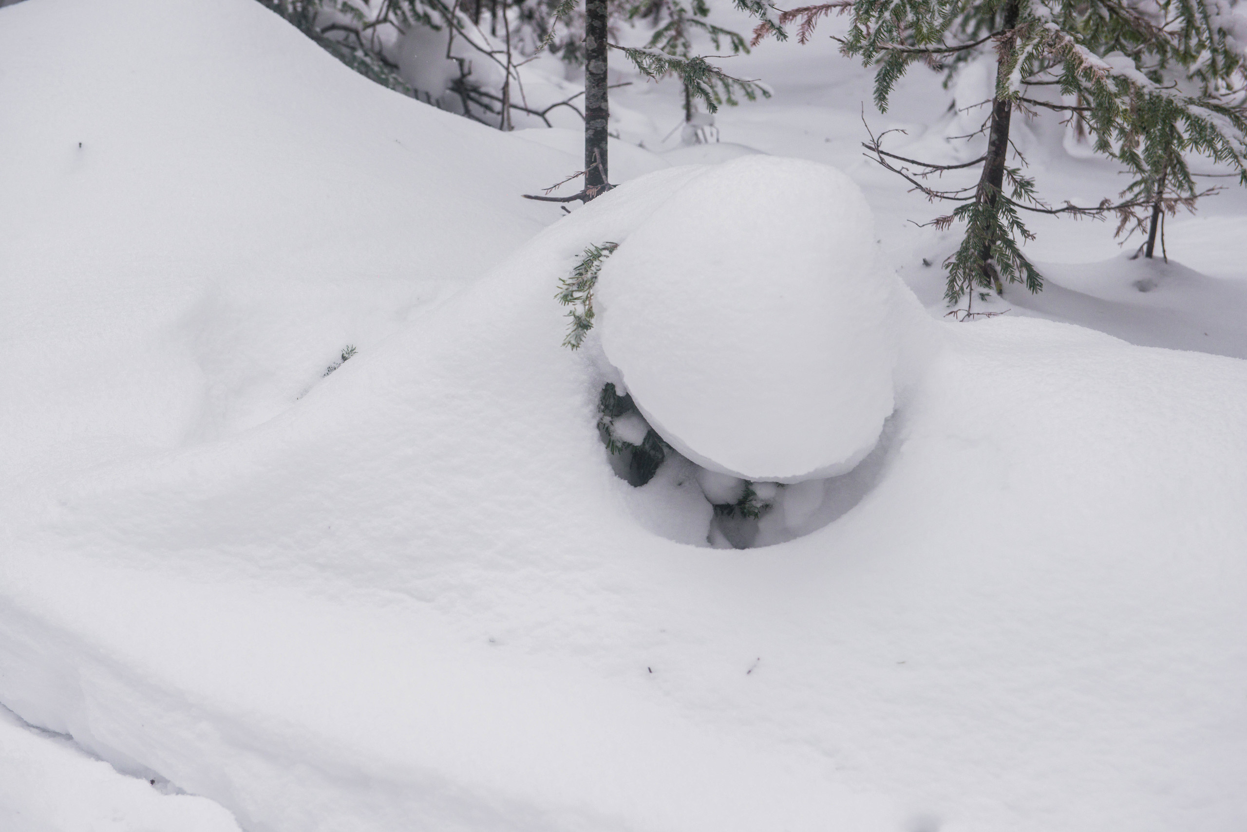 Качканар 06.01.2020. Свадебный фотограф на Урале Виктор Соколов