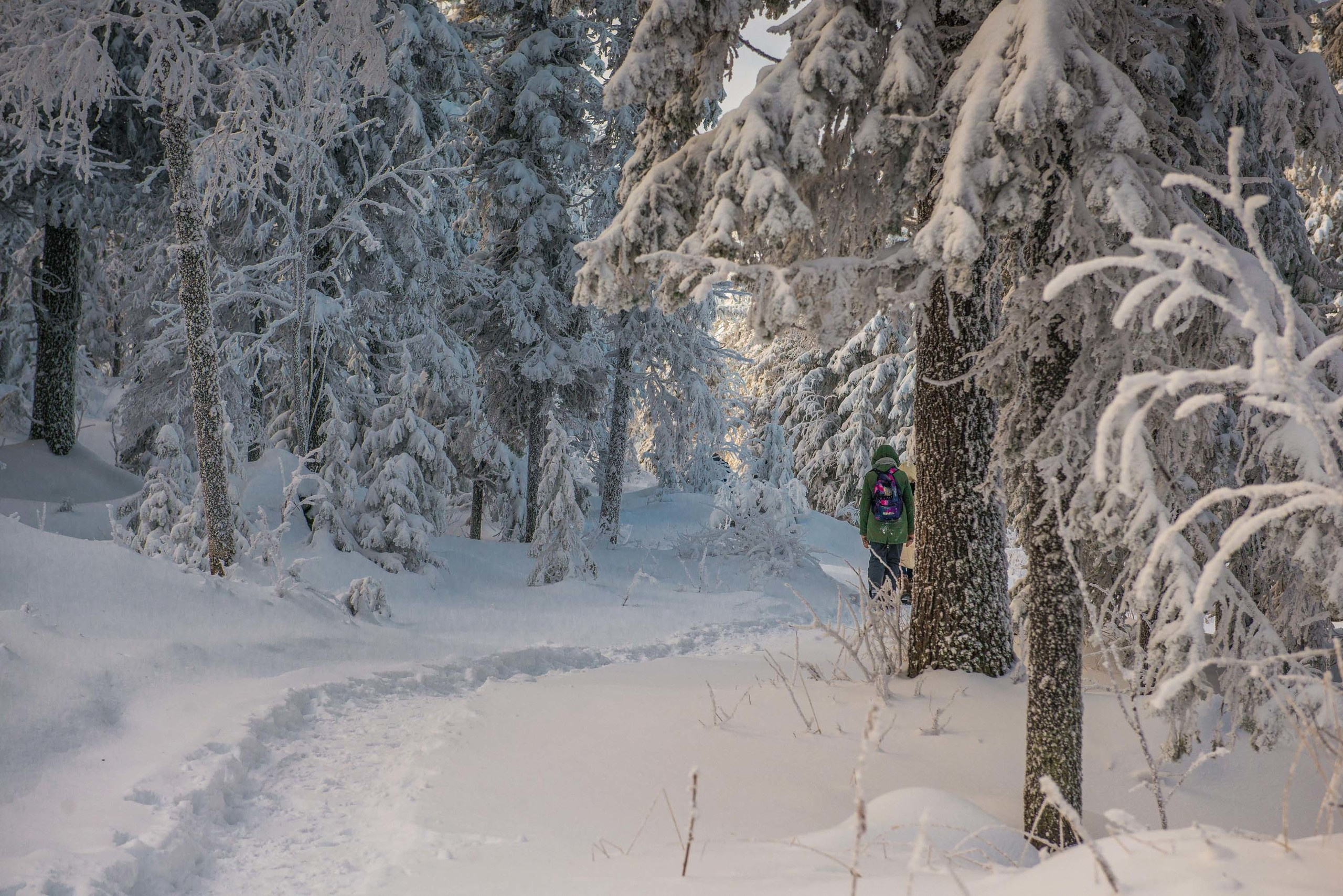 Качканар 24.11.2018. Свадебный фотограф на Урале Виктор Соколов