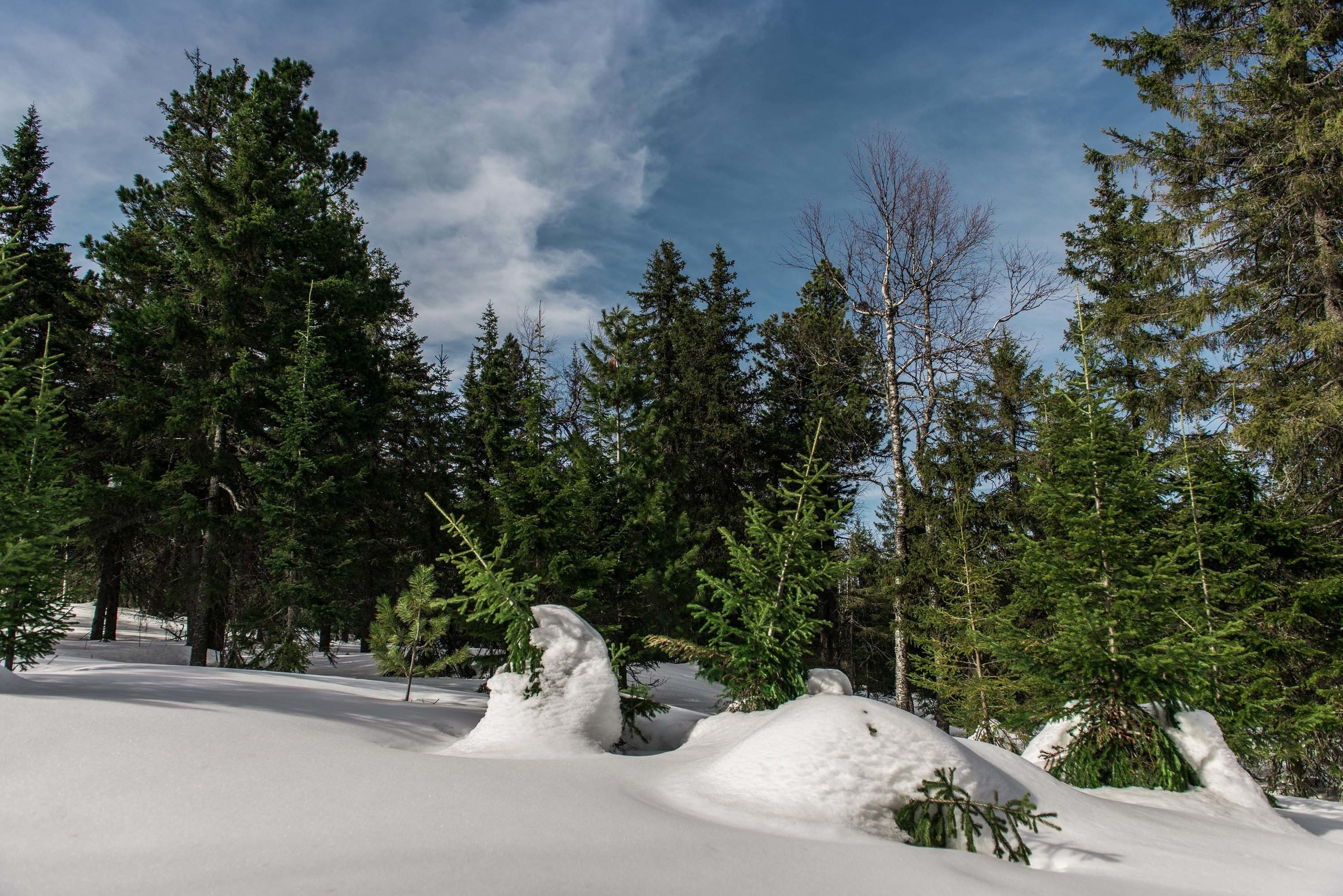 Качканар 06.04.2019. Свадебный фотограф на Урале Виктор Соколов