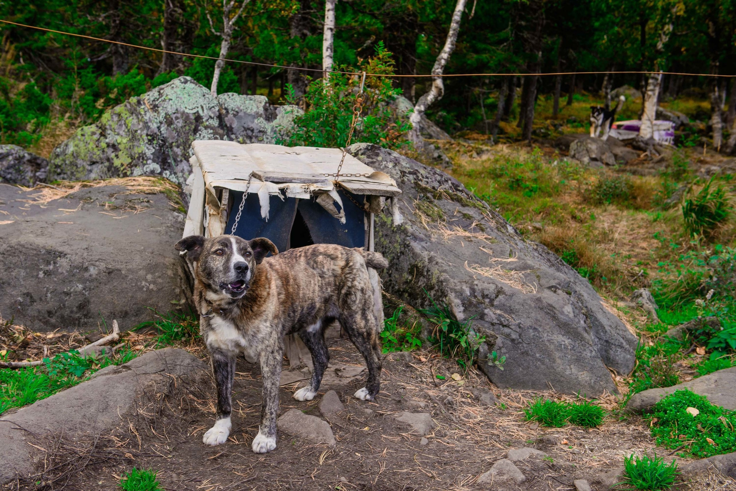 Качканар 24.08.2019. Свадебный фотограф на Урале Виктор Соколов