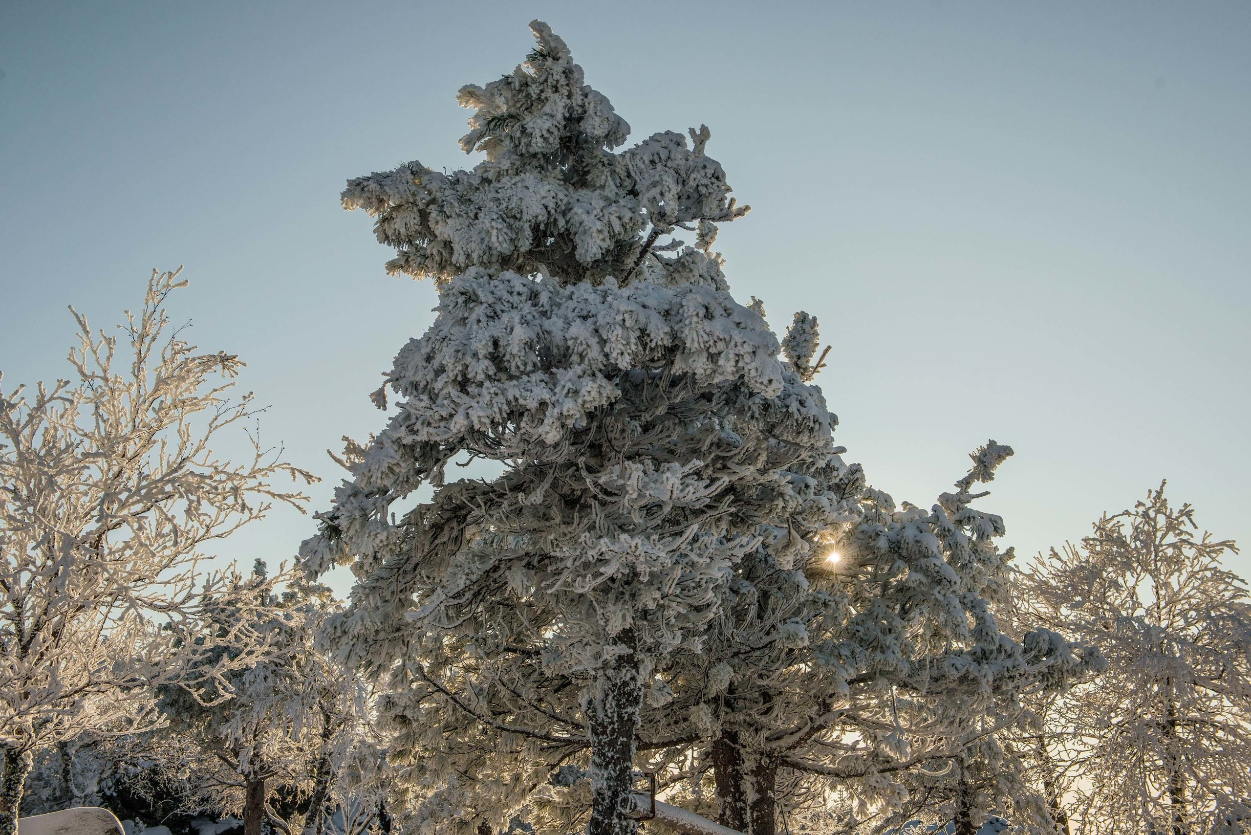 Качканар 19.10.2019. Свадебный фотограф на Урале Виктор Соколов