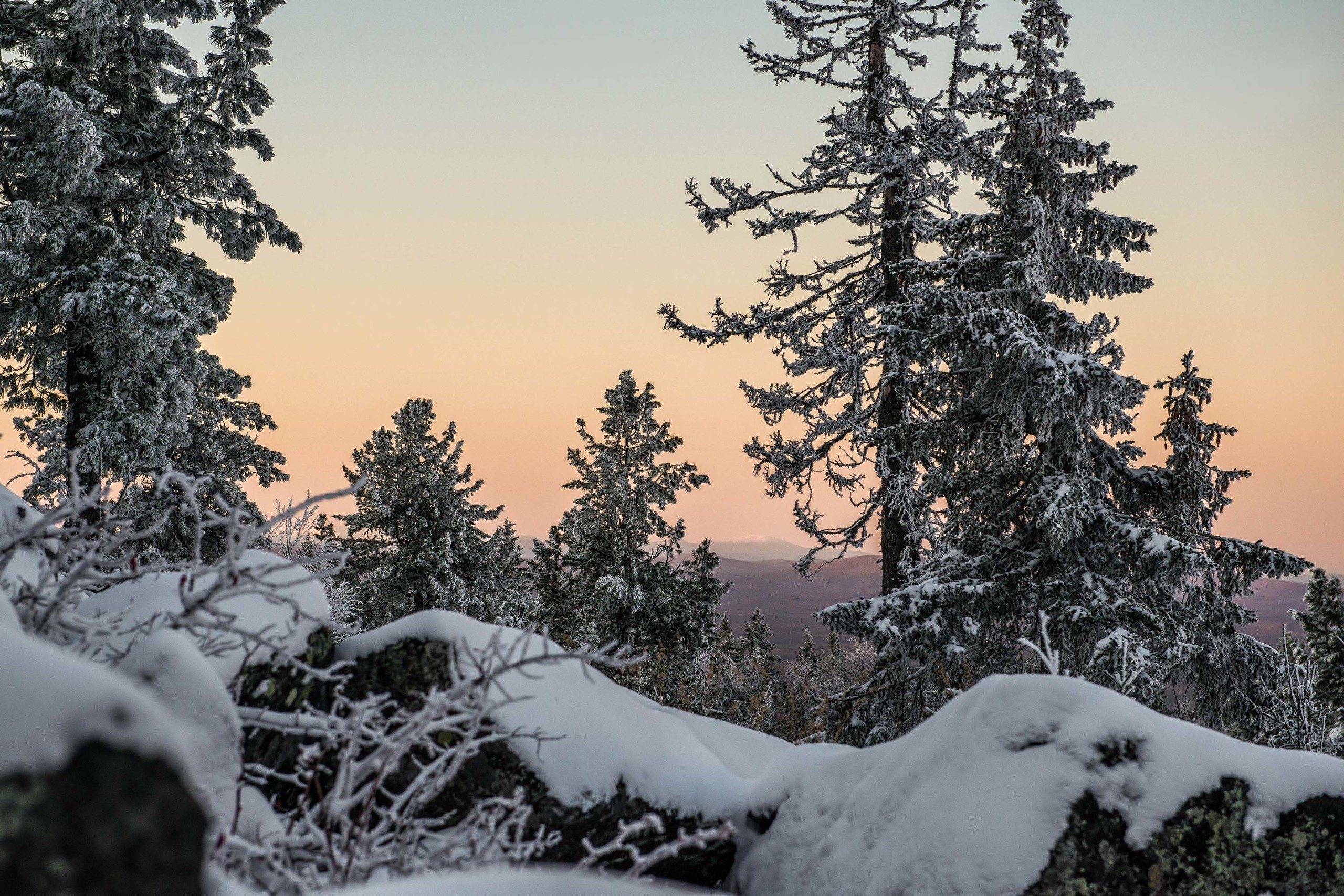 Качканар 19.10.2019. Свадебный фотограф на Урале Виктор Соколов