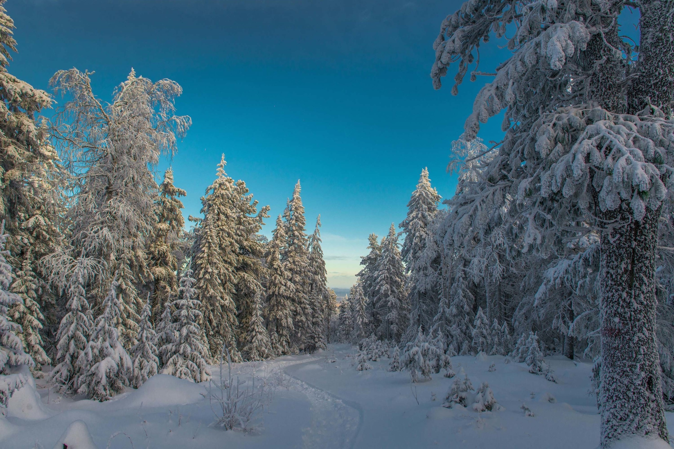 Качканар 24.11.2018. Свадебный фотограф на Урале Виктор Соколов